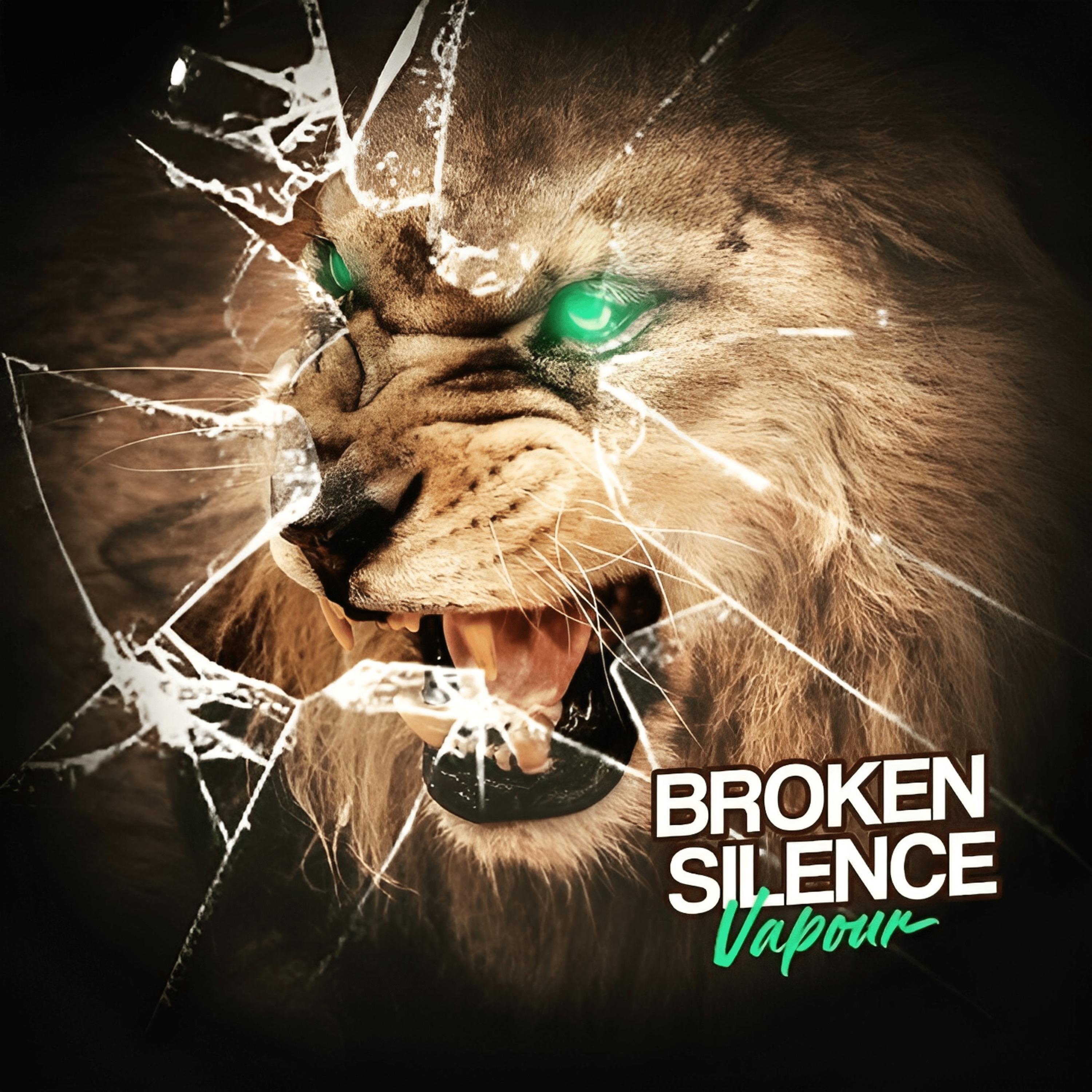 Постер альбома Broken Silence