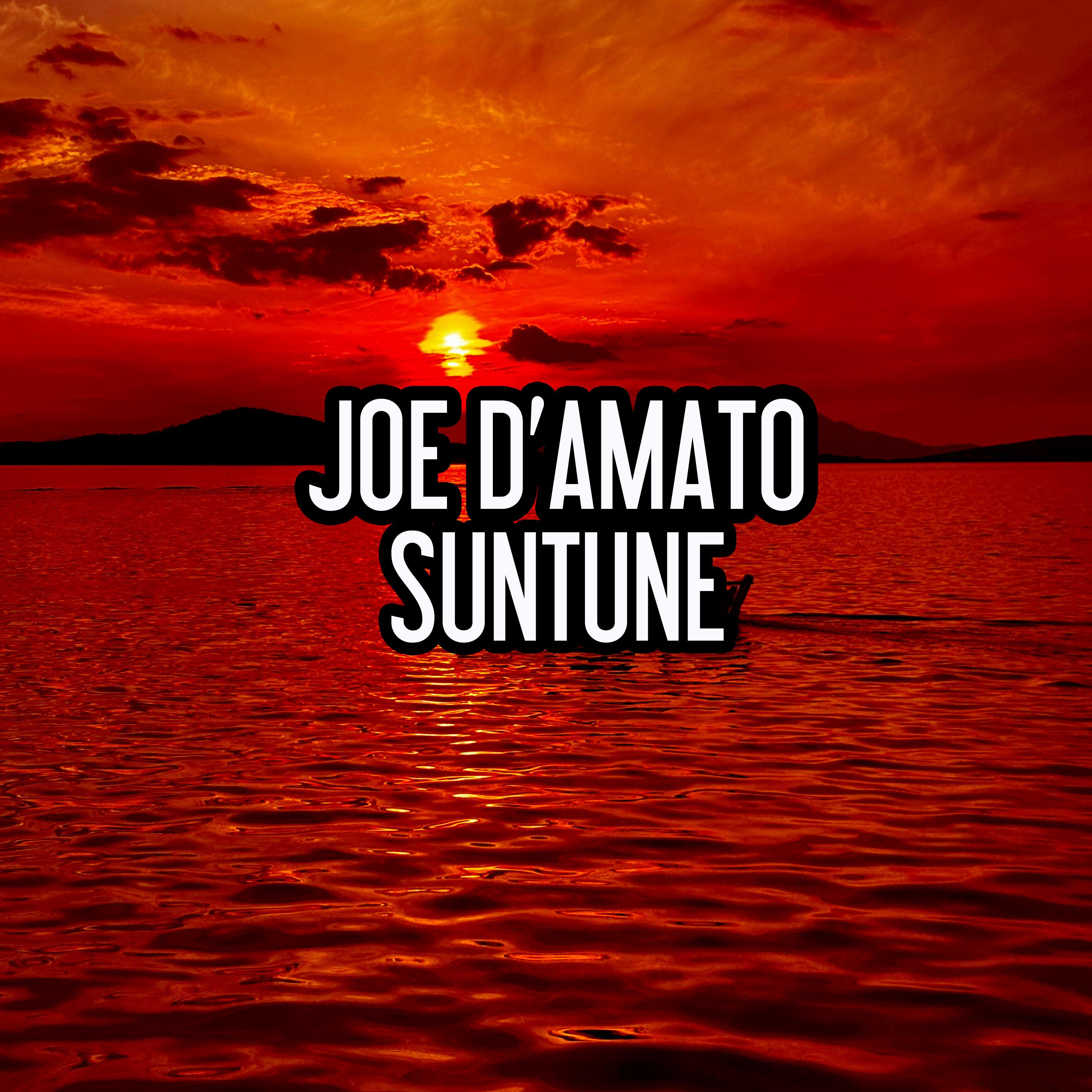 Постер альбома Suntune