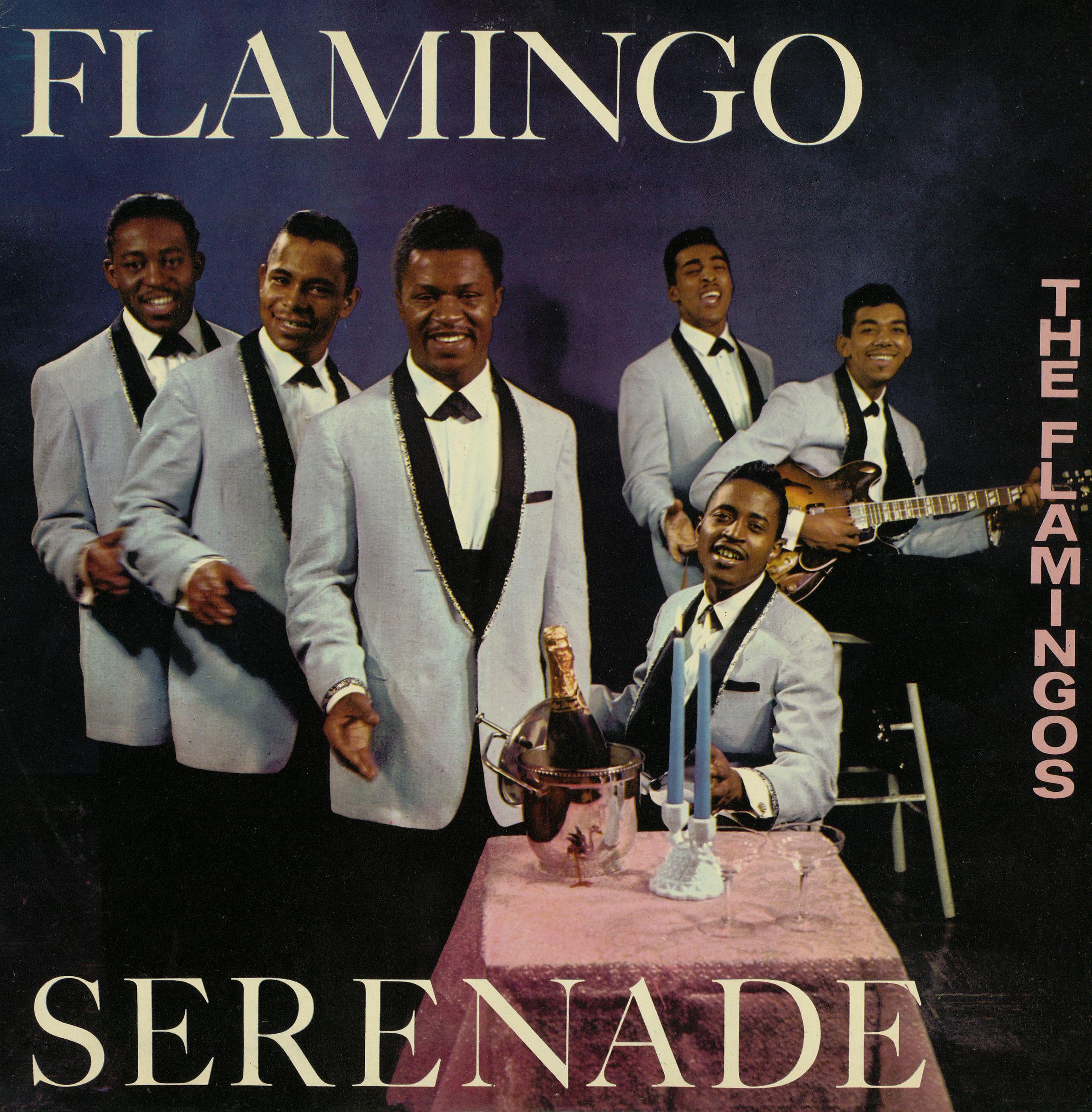 Постер альбома Flamingo Serenade
