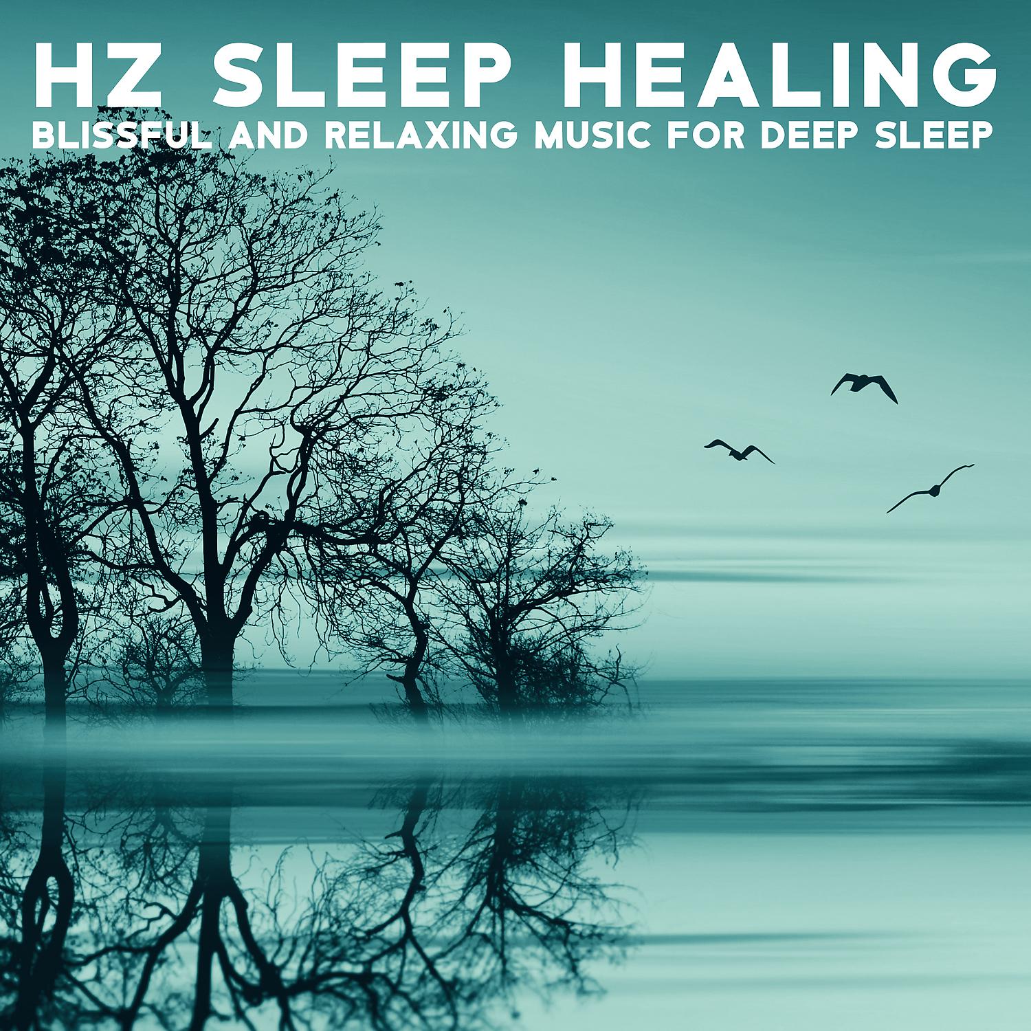 Постер альбома Hz Sleep Healing: Blissful and Relaxing Music for Deep Sleep, Meditation by Soothing Relaxation