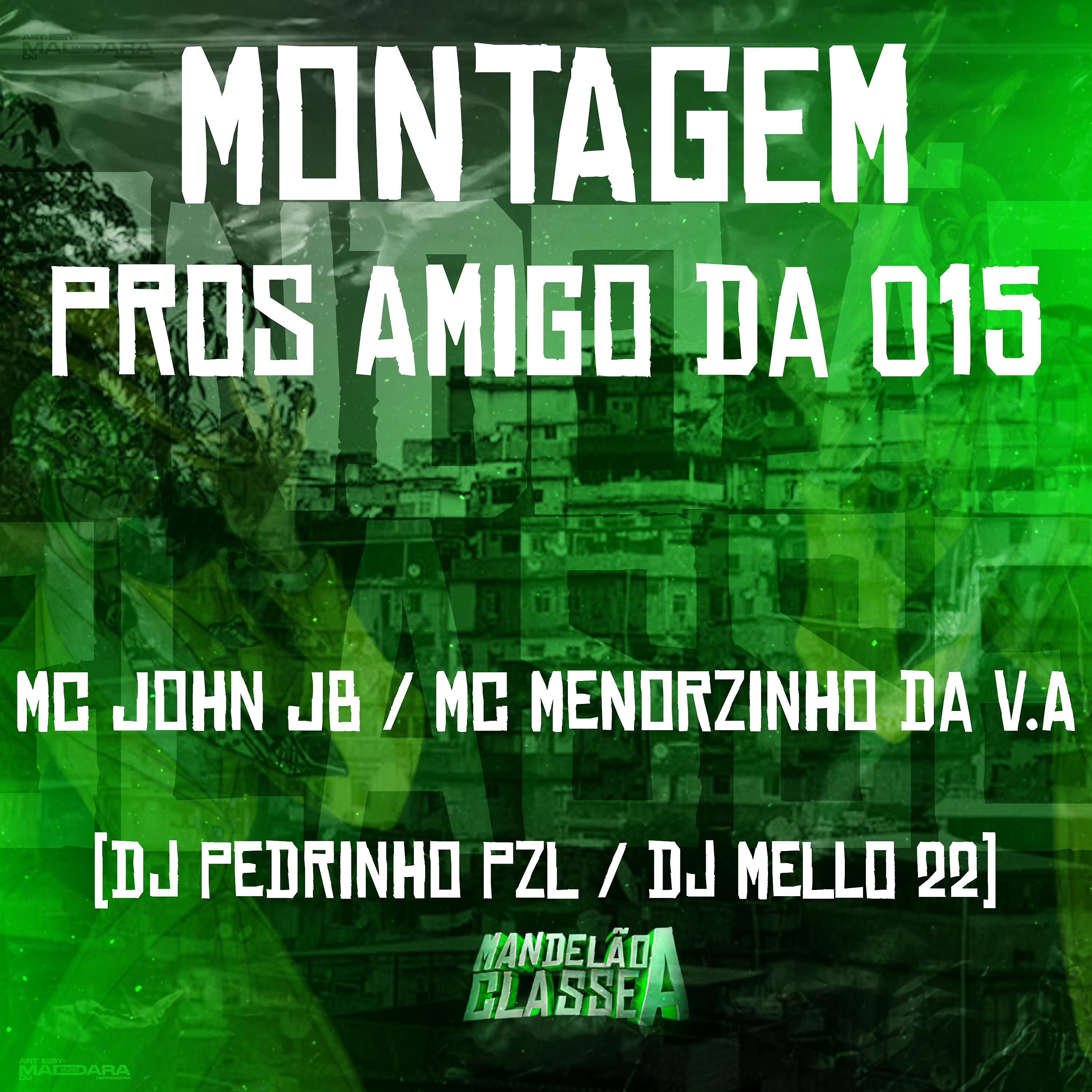Постер альбома Montagem Pros Amigo da 015