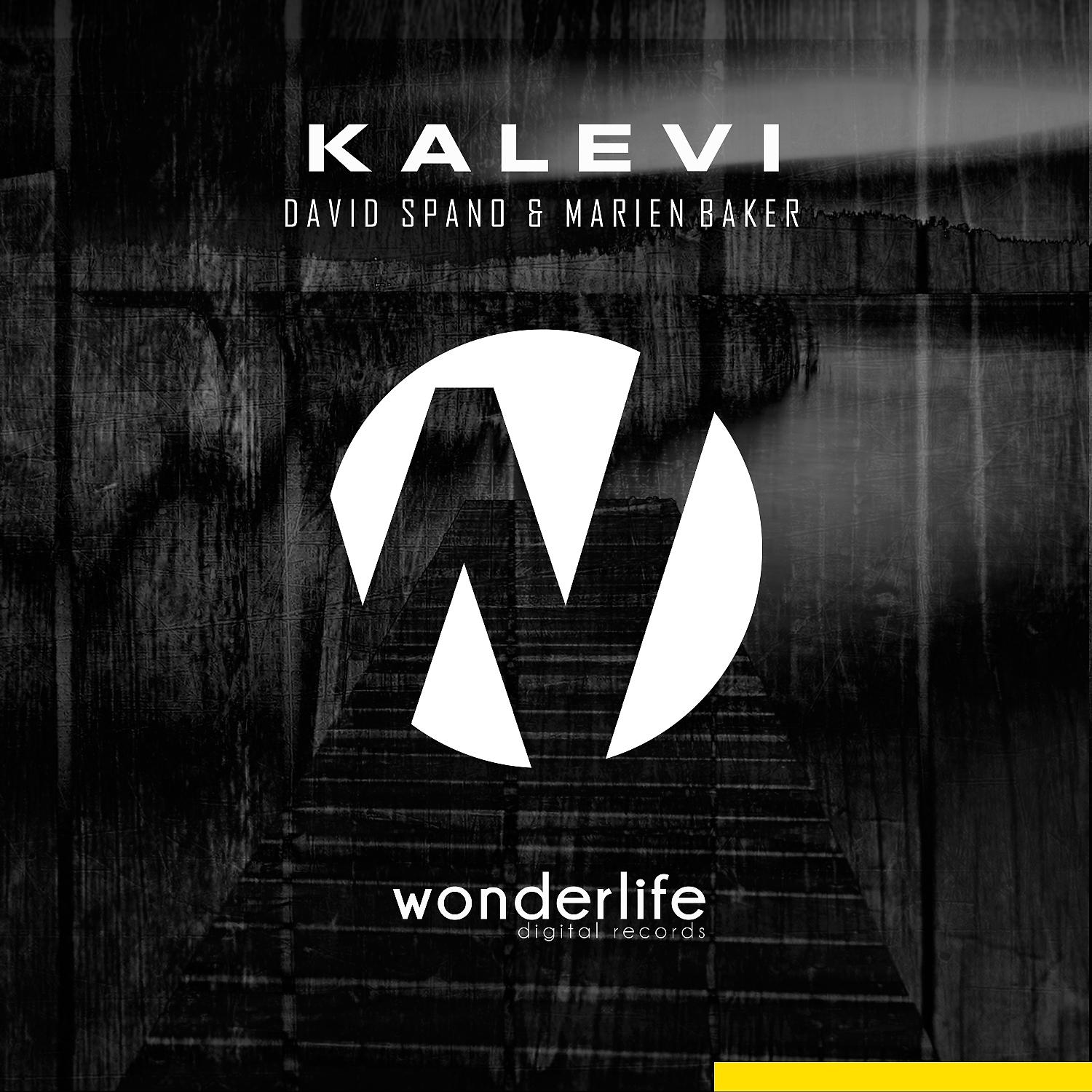 Постер альбома Kalevi