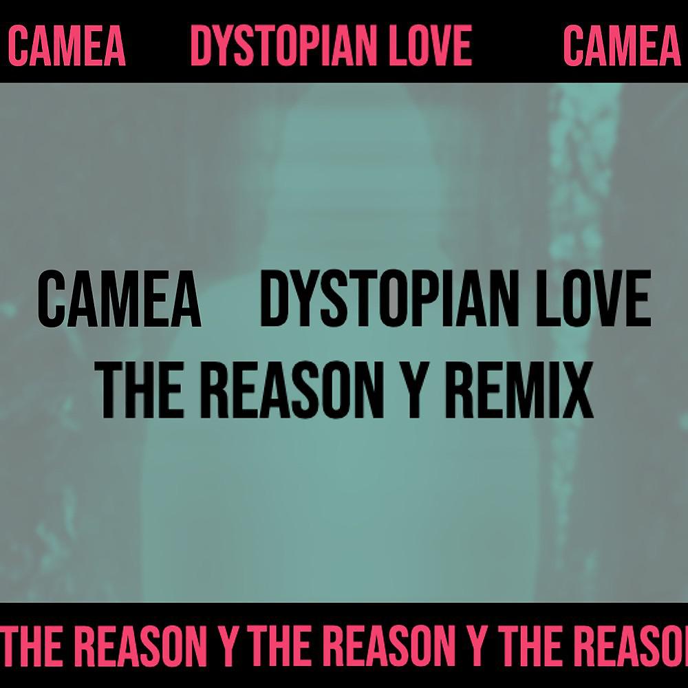 Постер альбома Dystopian Love (The Reason Y Remix)