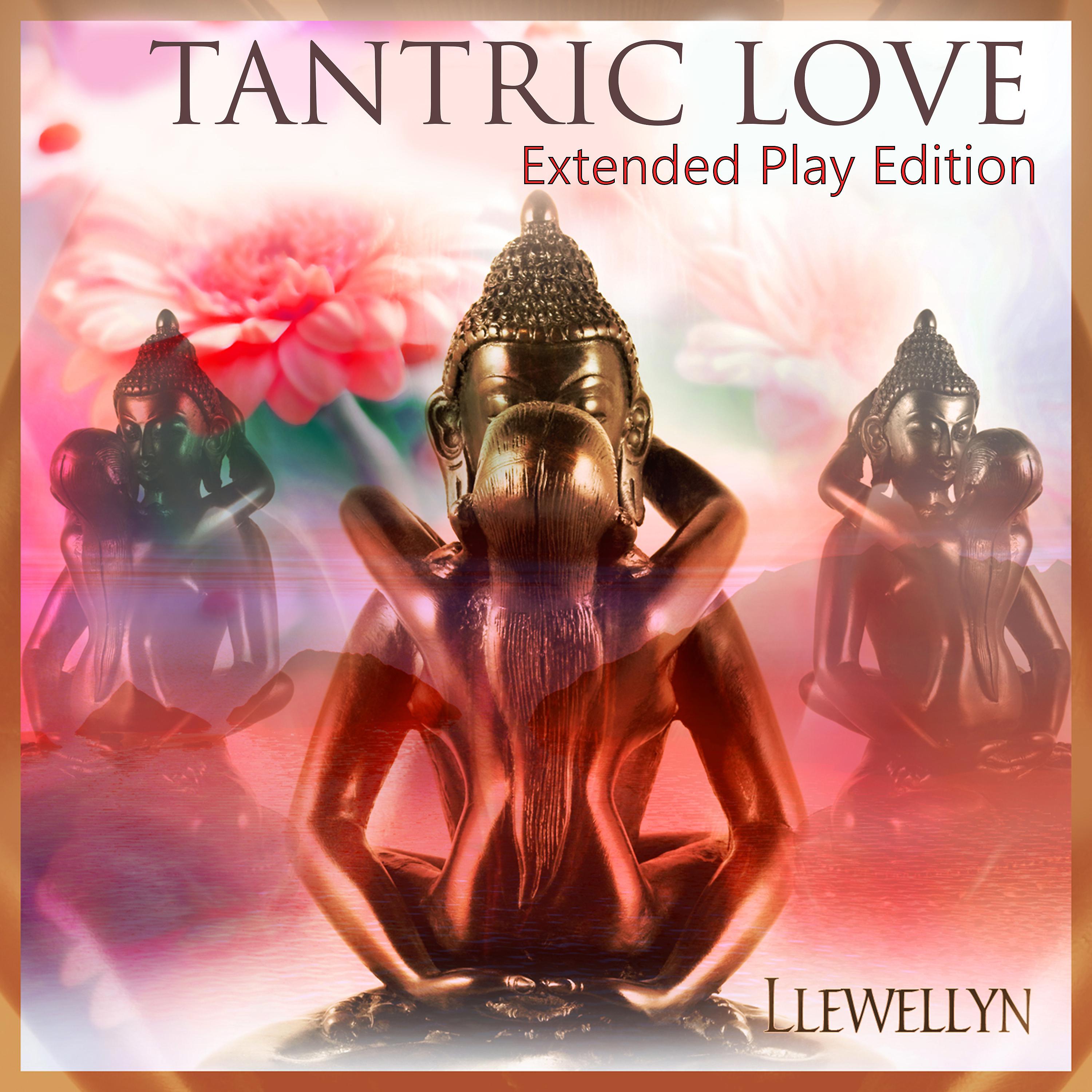 Постер альбома Tantric Love