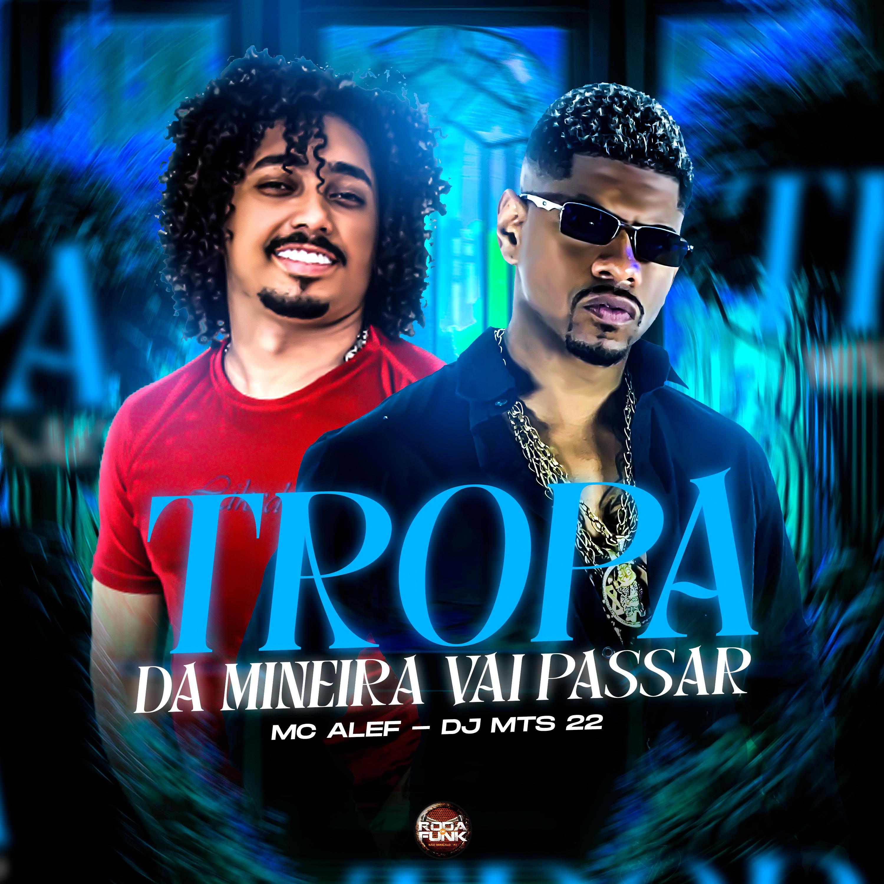 Постер альбома Tropa da Mineira Vai Passar