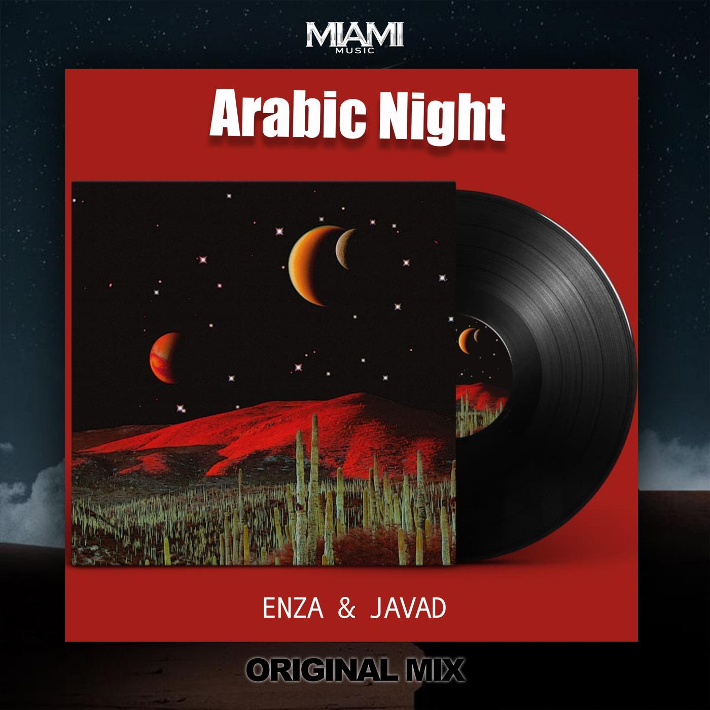 Постер альбома Arabic Night (Remix)