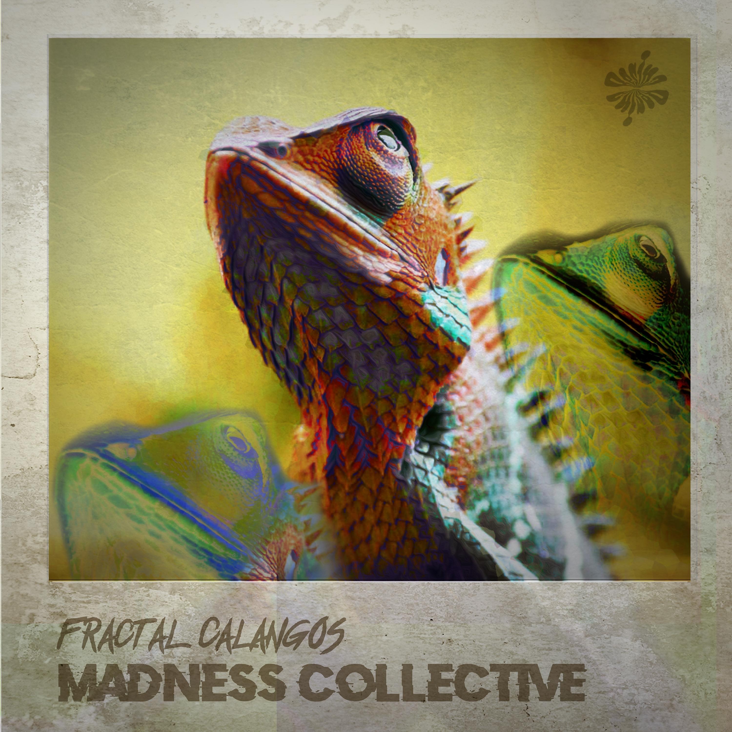 Постер альбома Madness Collective