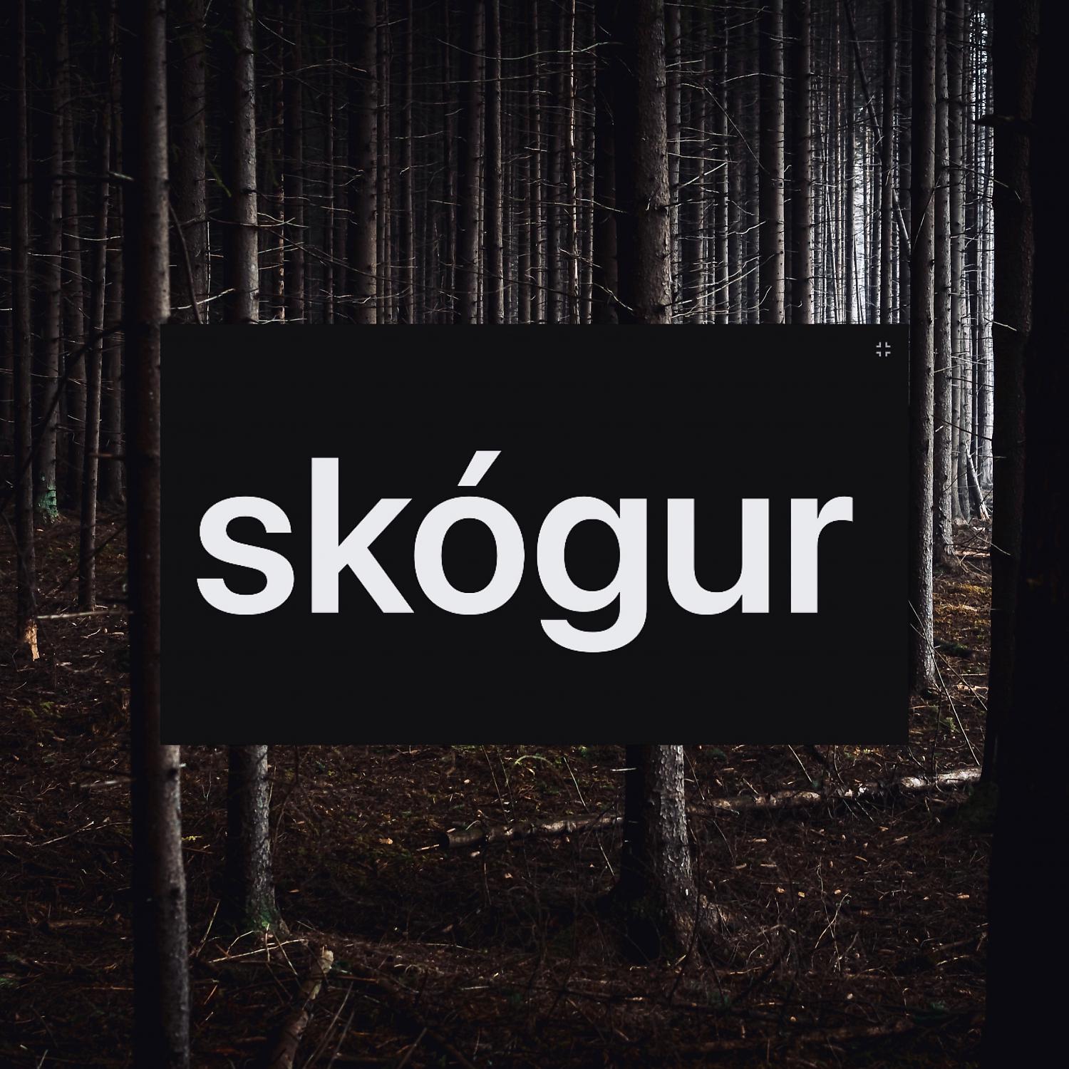 Постер альбома Skógur