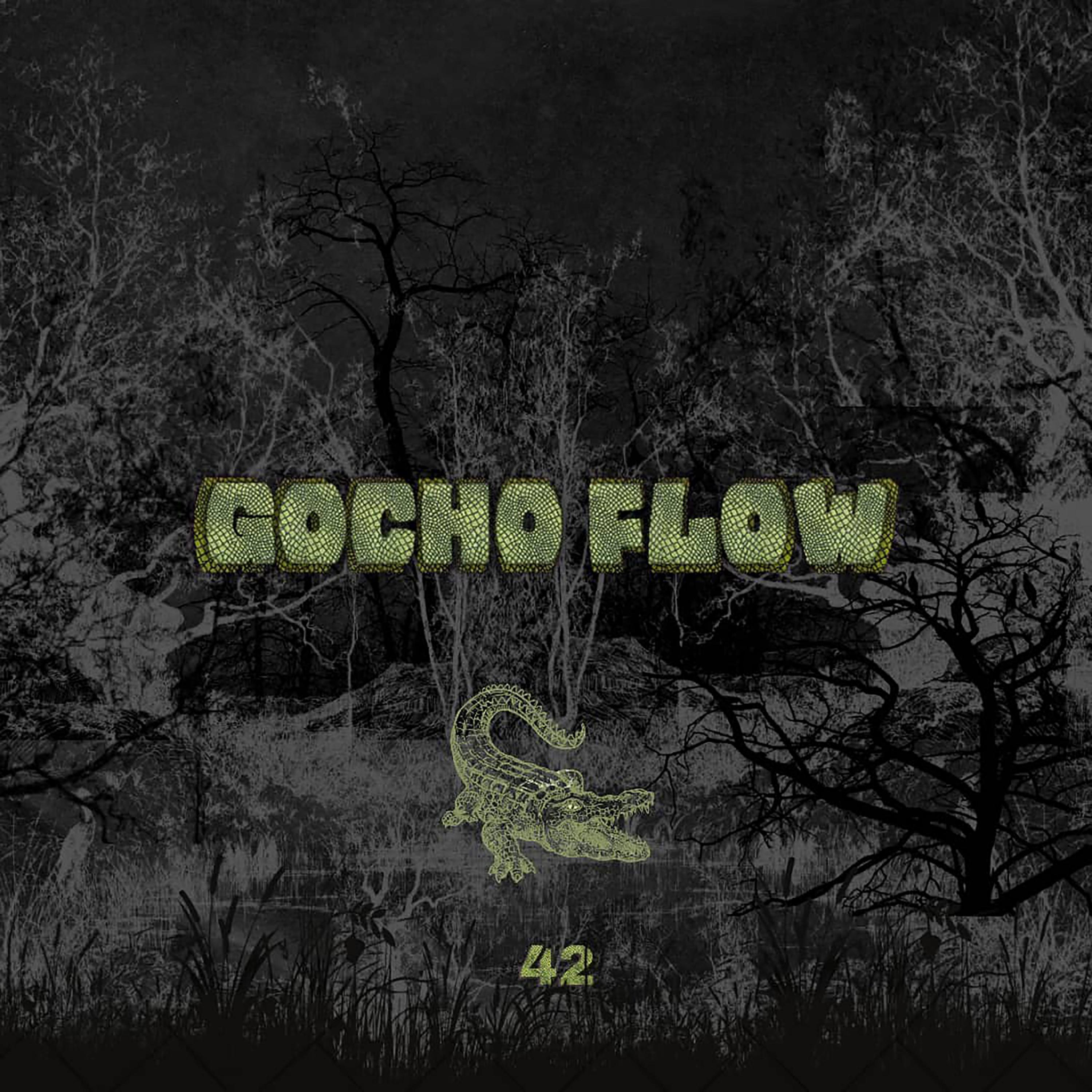 Постер альбома Gocho Flow 42