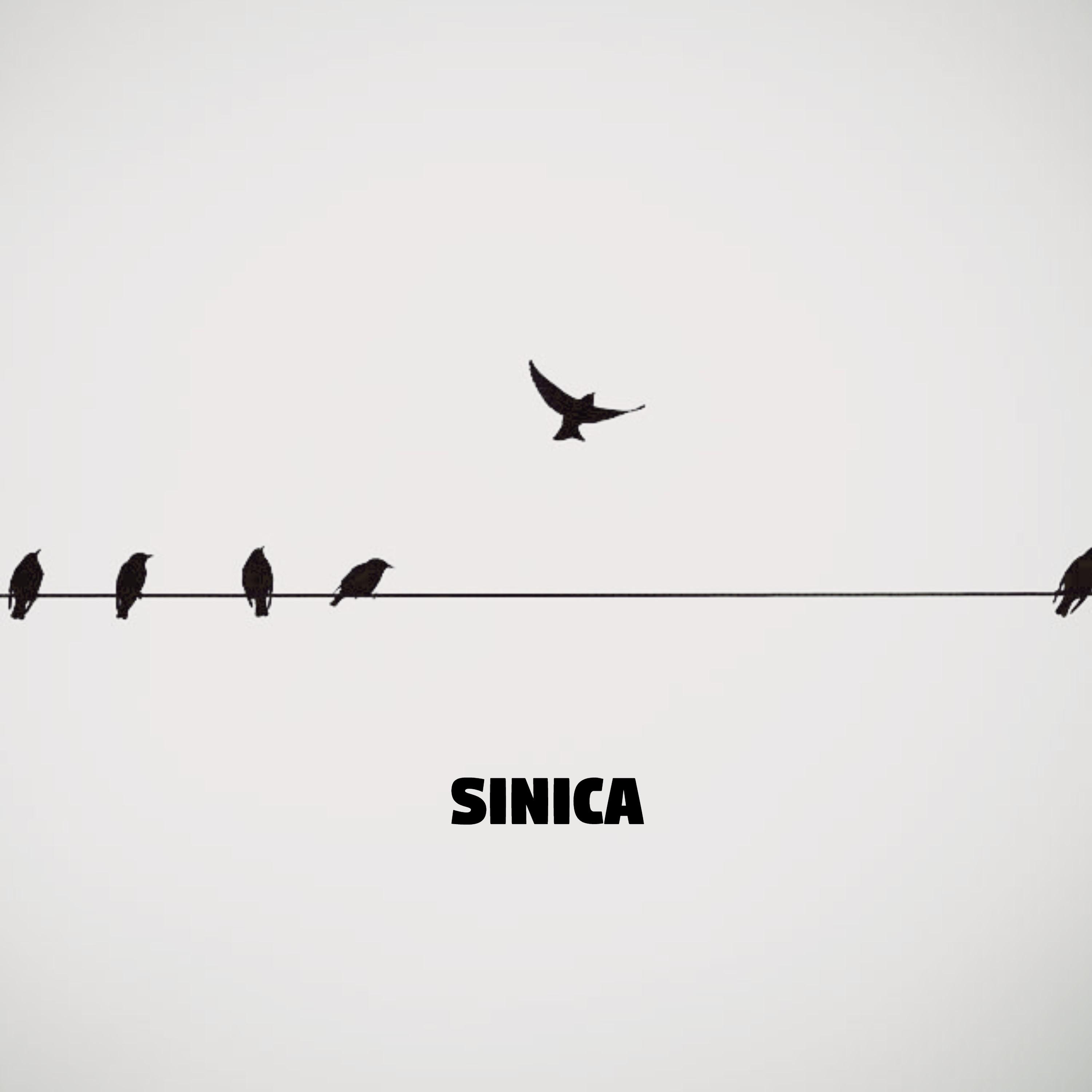 Постер альбома Sinica