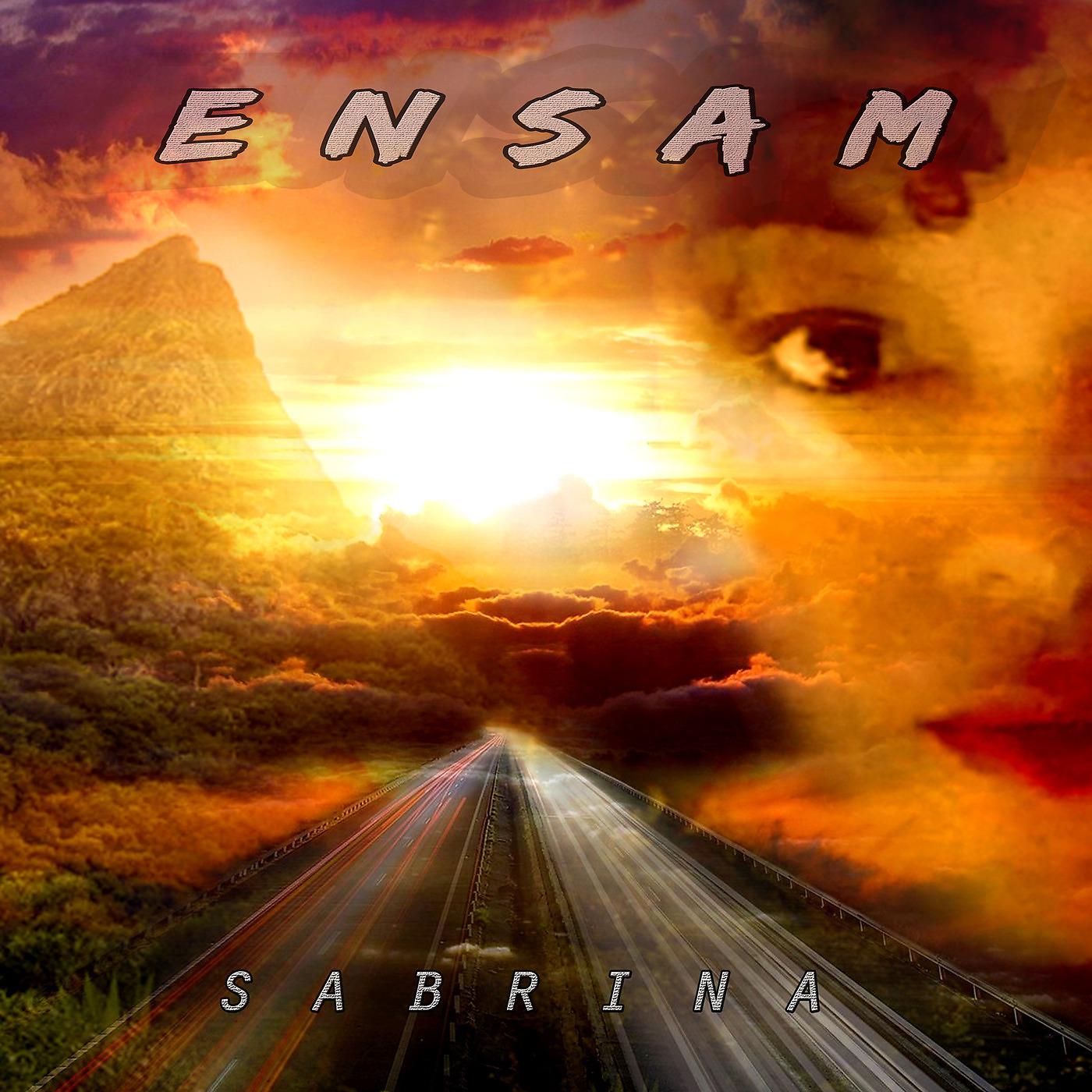 Постер альбома Ensam
