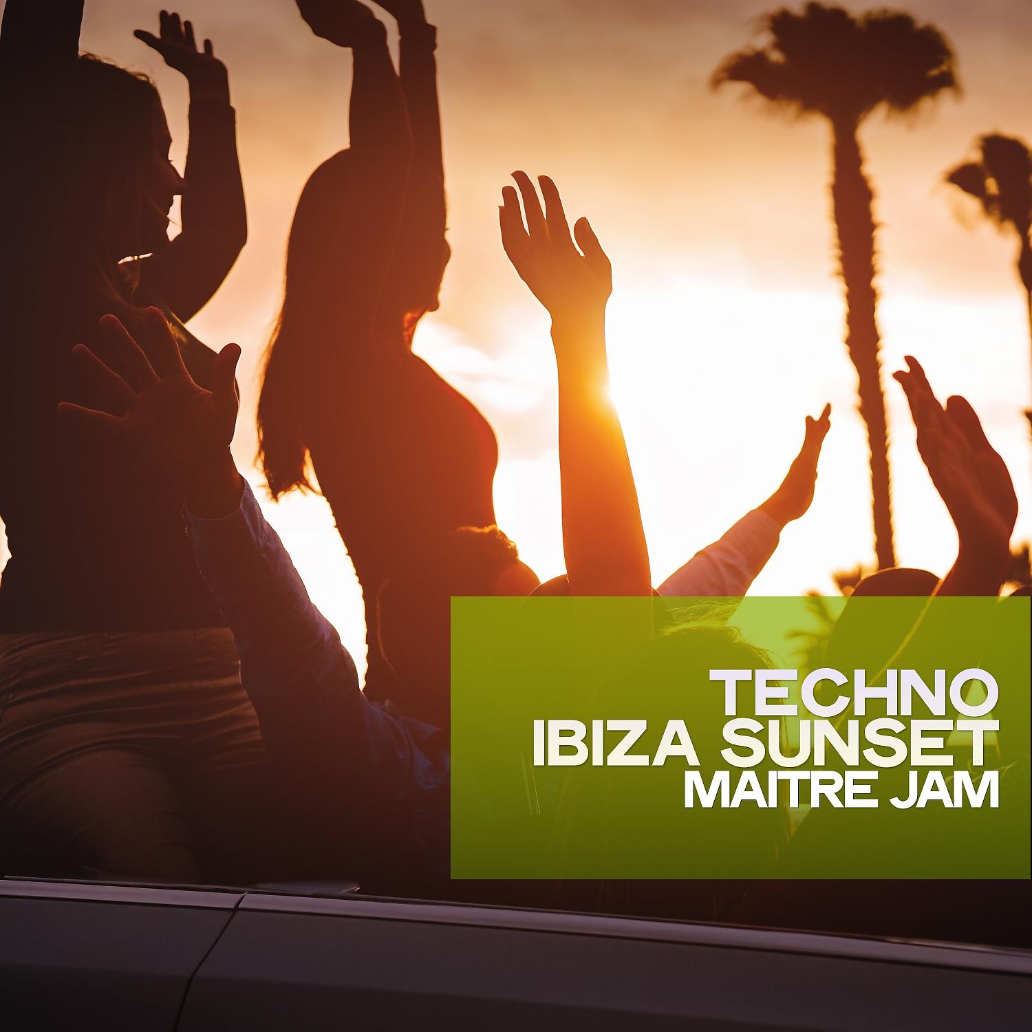 Постер альбома Techno Ibiza Sunset