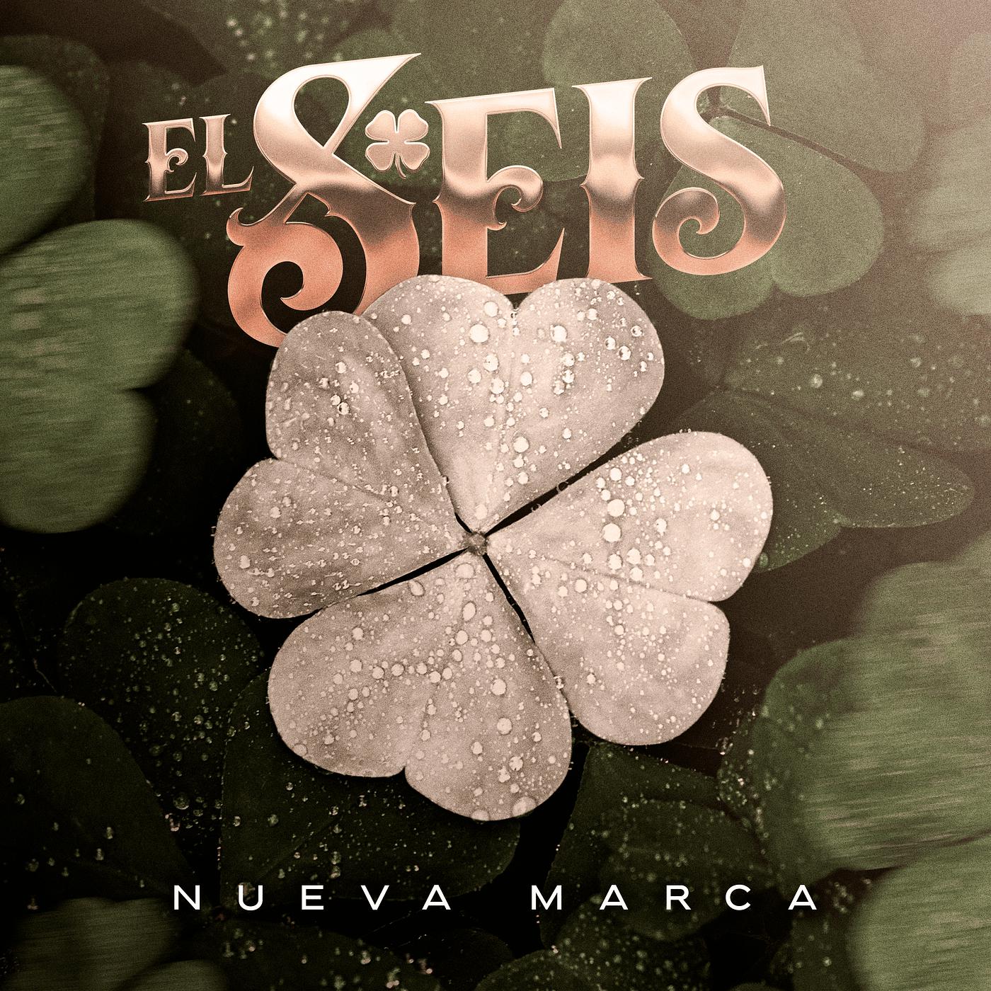 Постер альбома El Seis