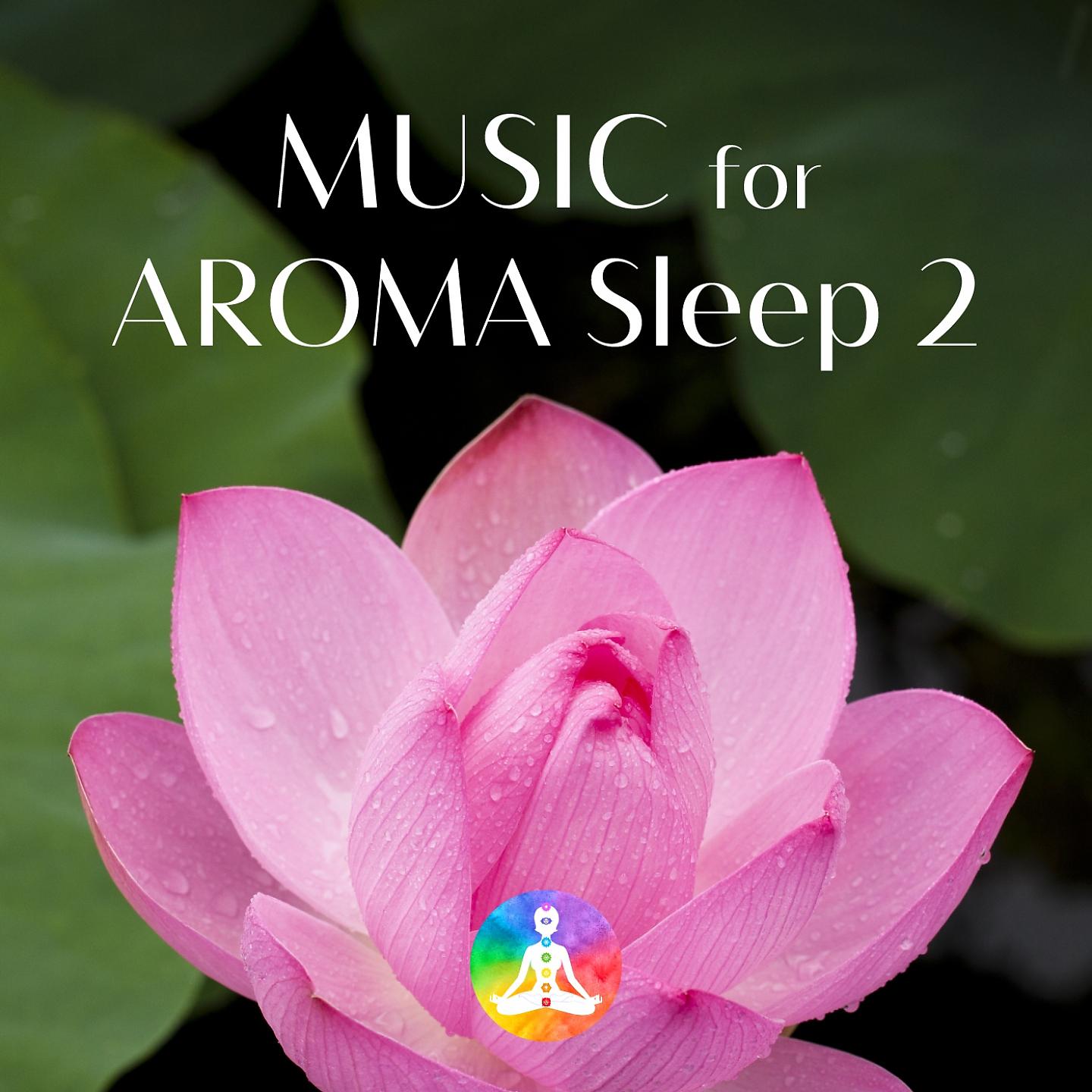 Постер альбома Music For Deep Sleep AROMA2 528Hz Miracle Tone