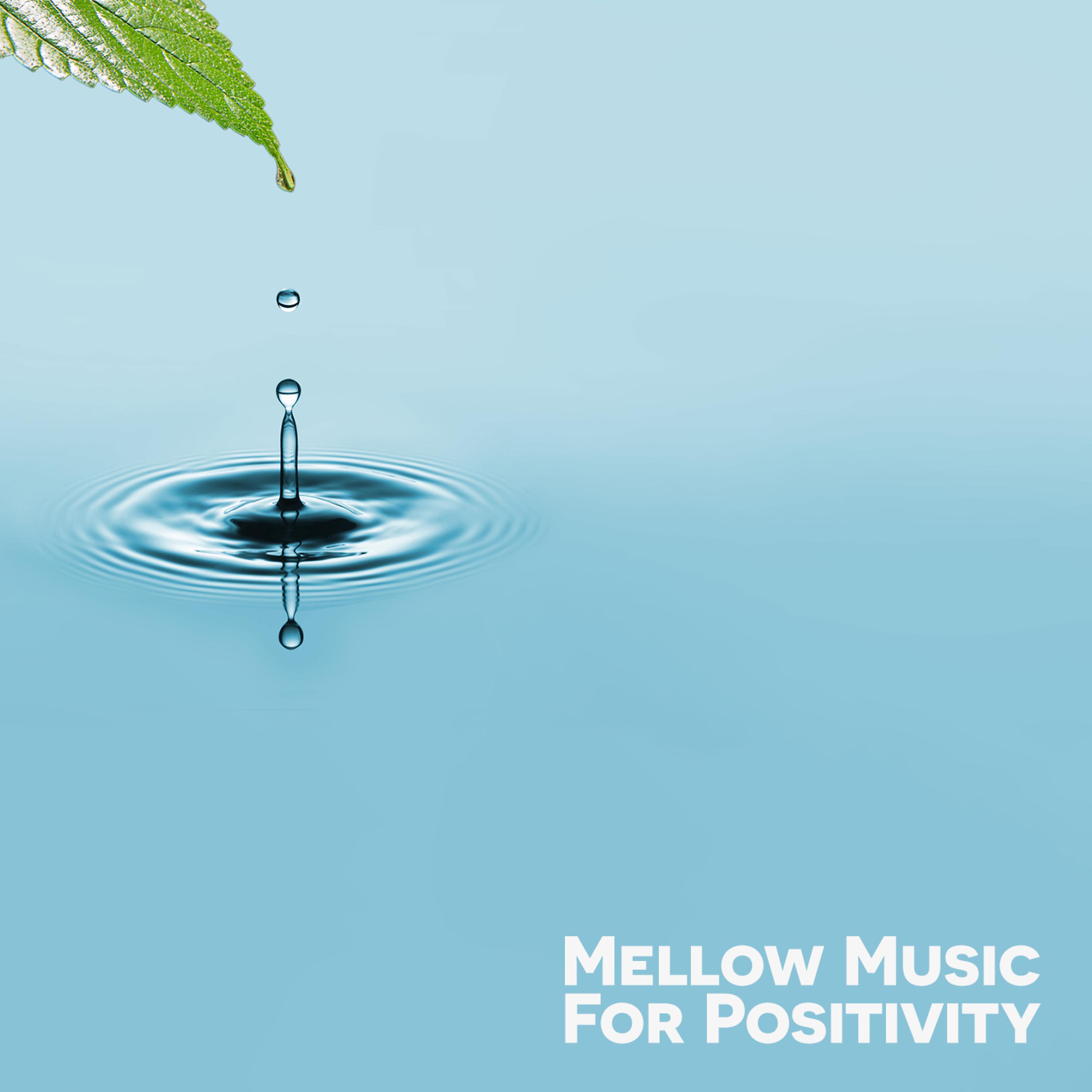 Постер альбома Mellow Music for Positivity