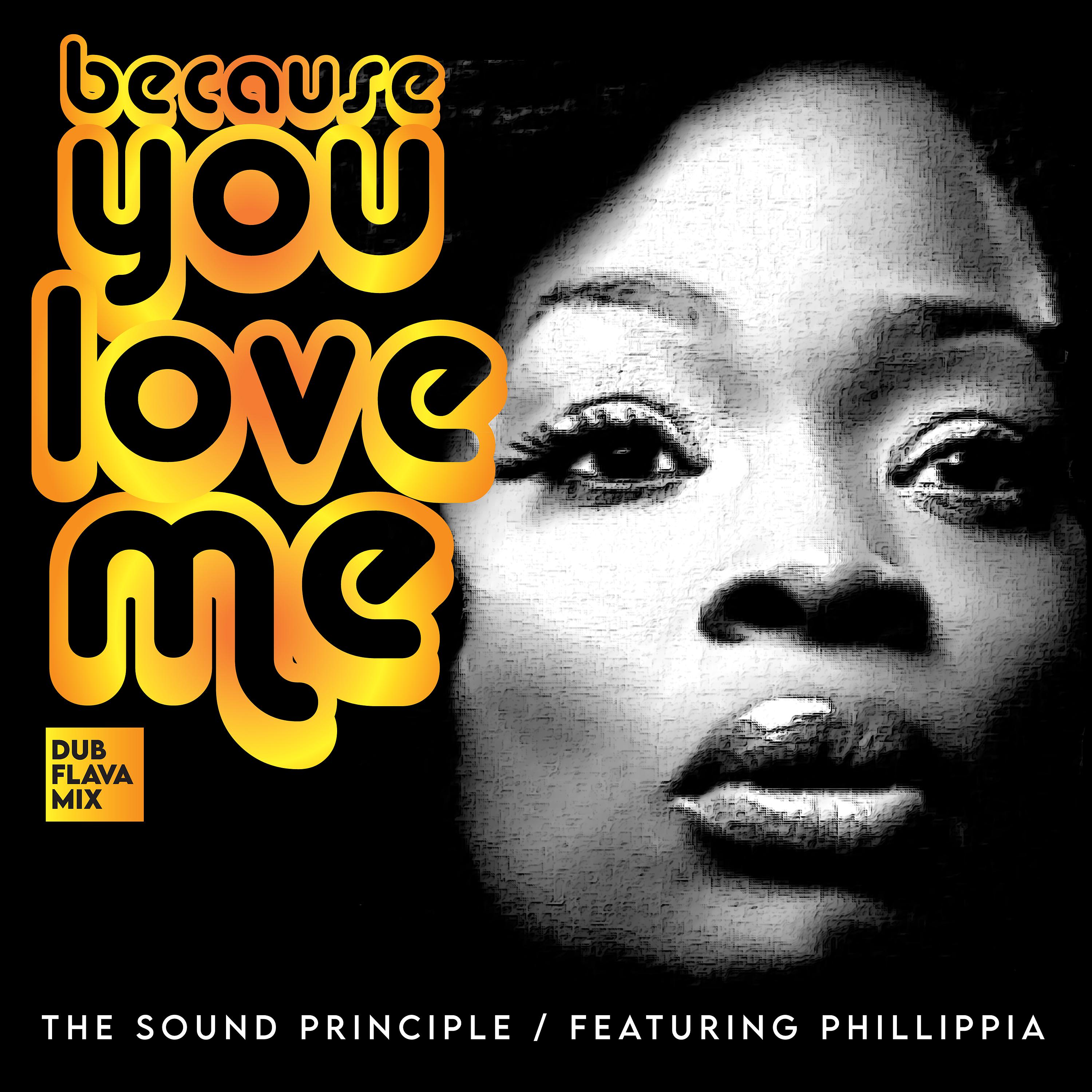 Постер альбома Because You Love Me (Dub Flava Mixes)