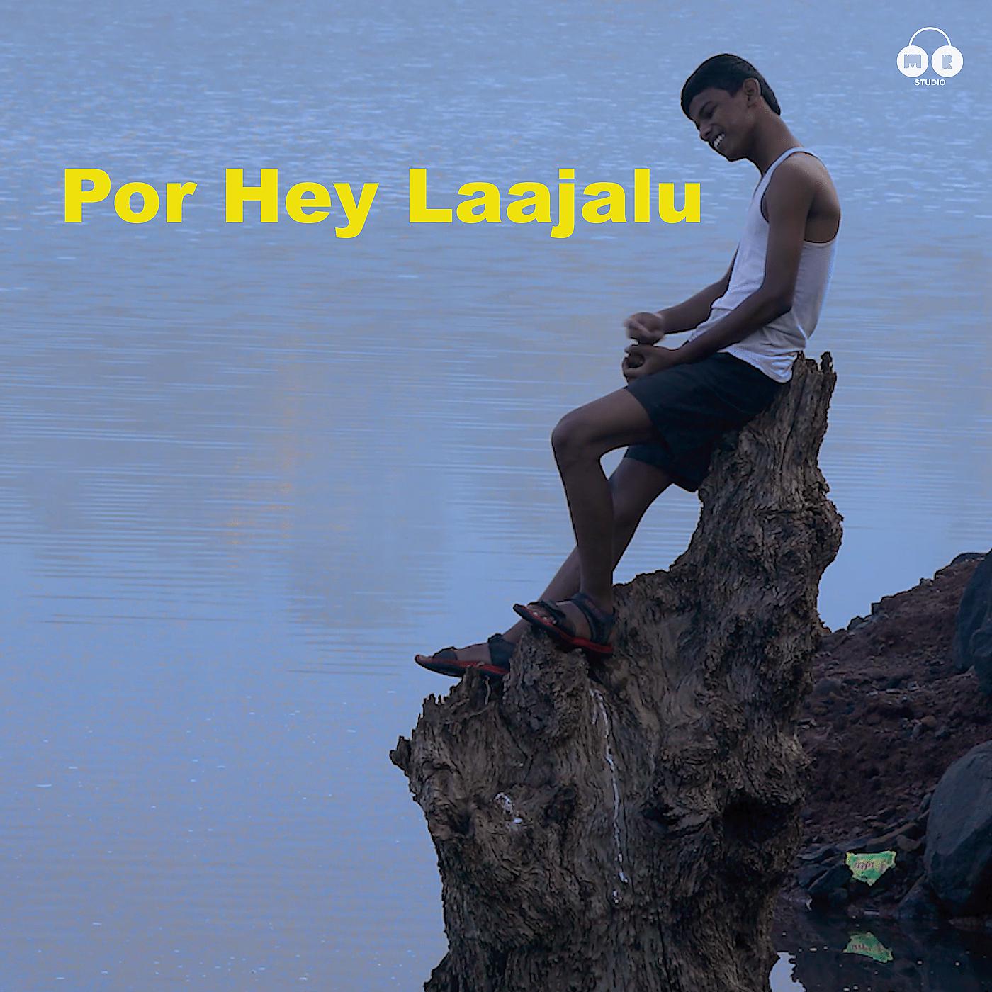 Постер альбома Por Hey Laajalu