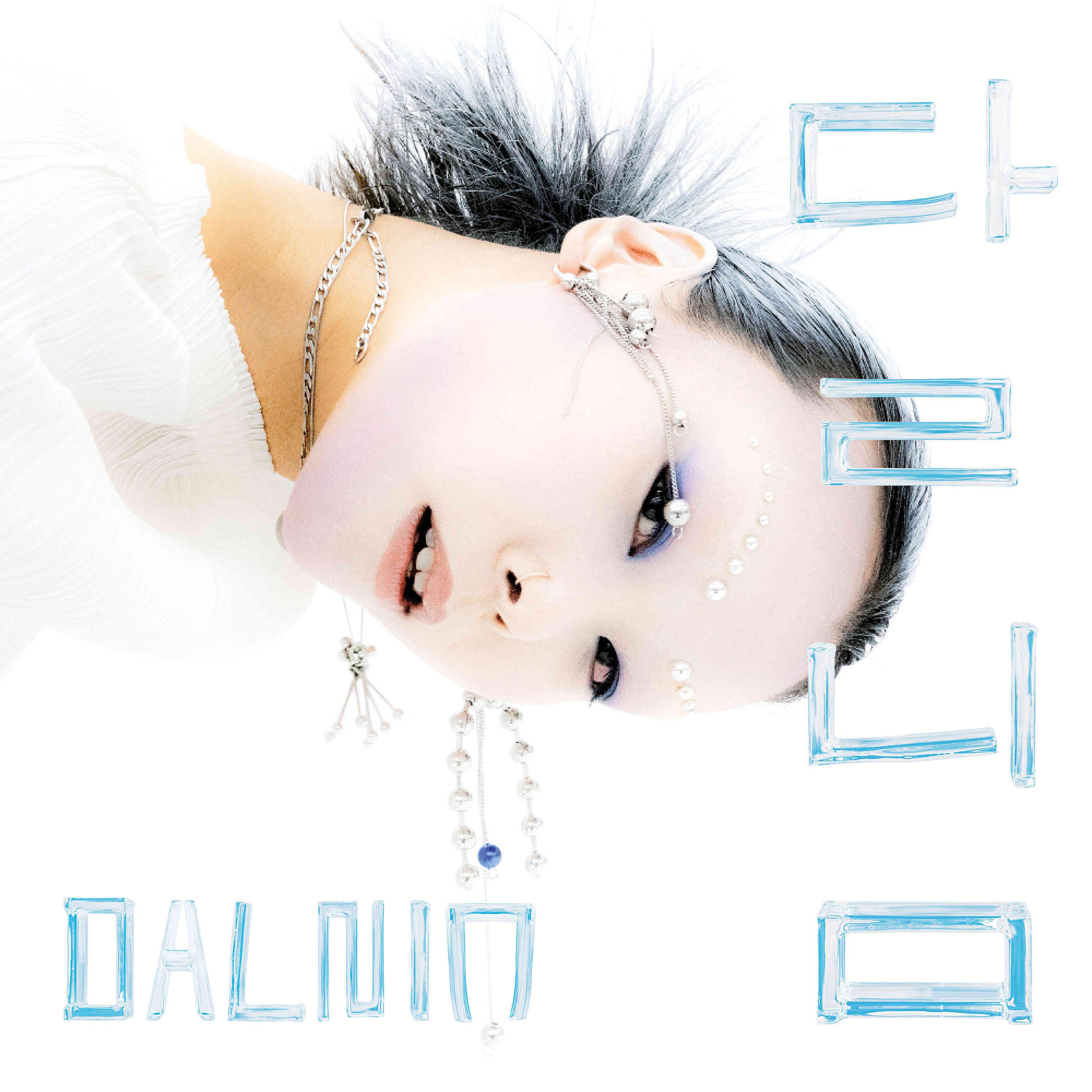 Постер альбома Dalnim (달님)