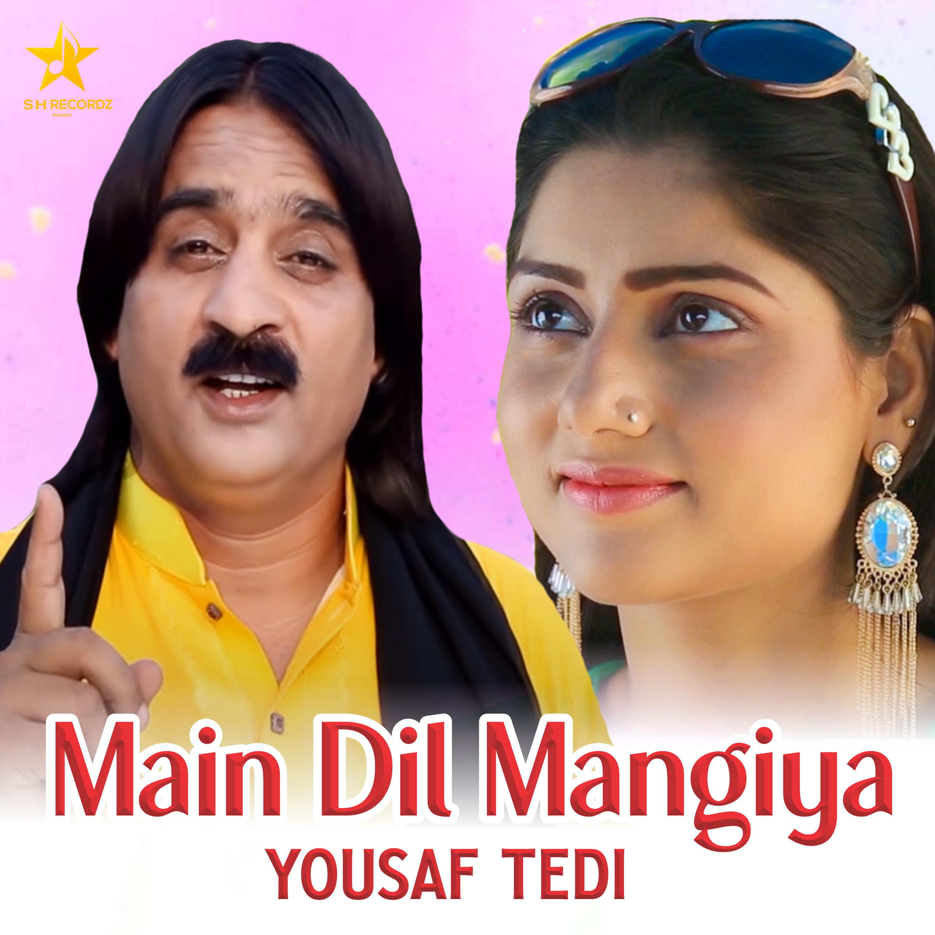 Постер альбома Main Dil Mangiya