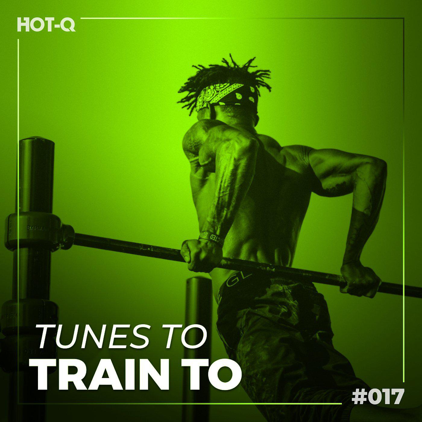 Постер альбома Tunes To Train To 017