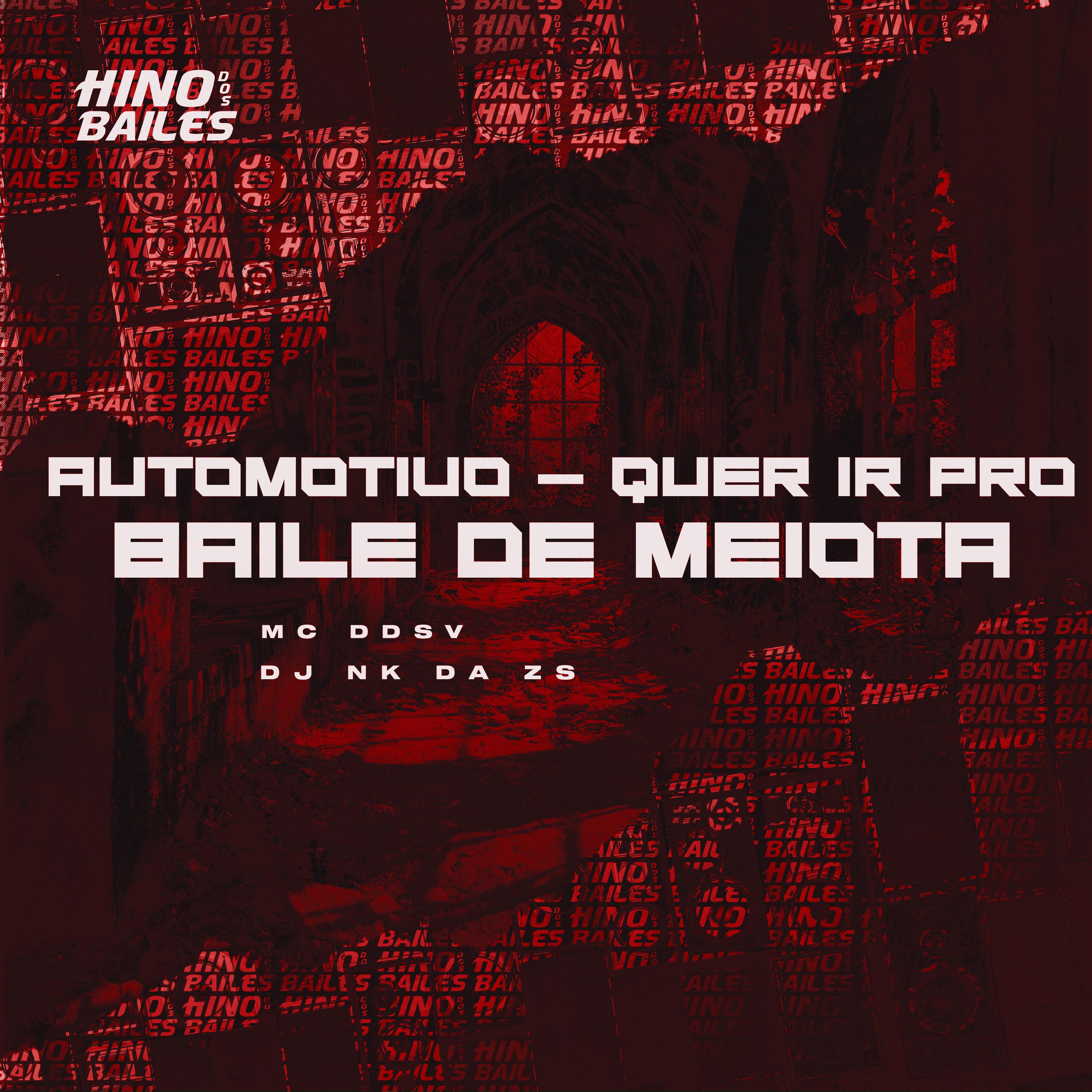 Постер альбома Automotivo - Quer Ir pro Baile de Meiota