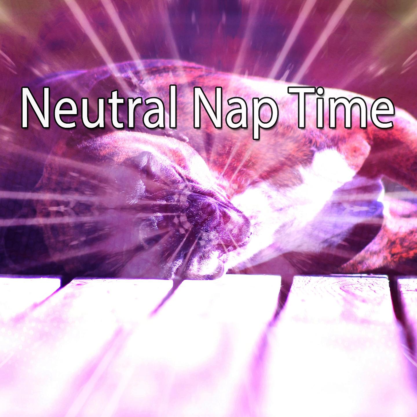 Постер альбома Neutral Nap Time
