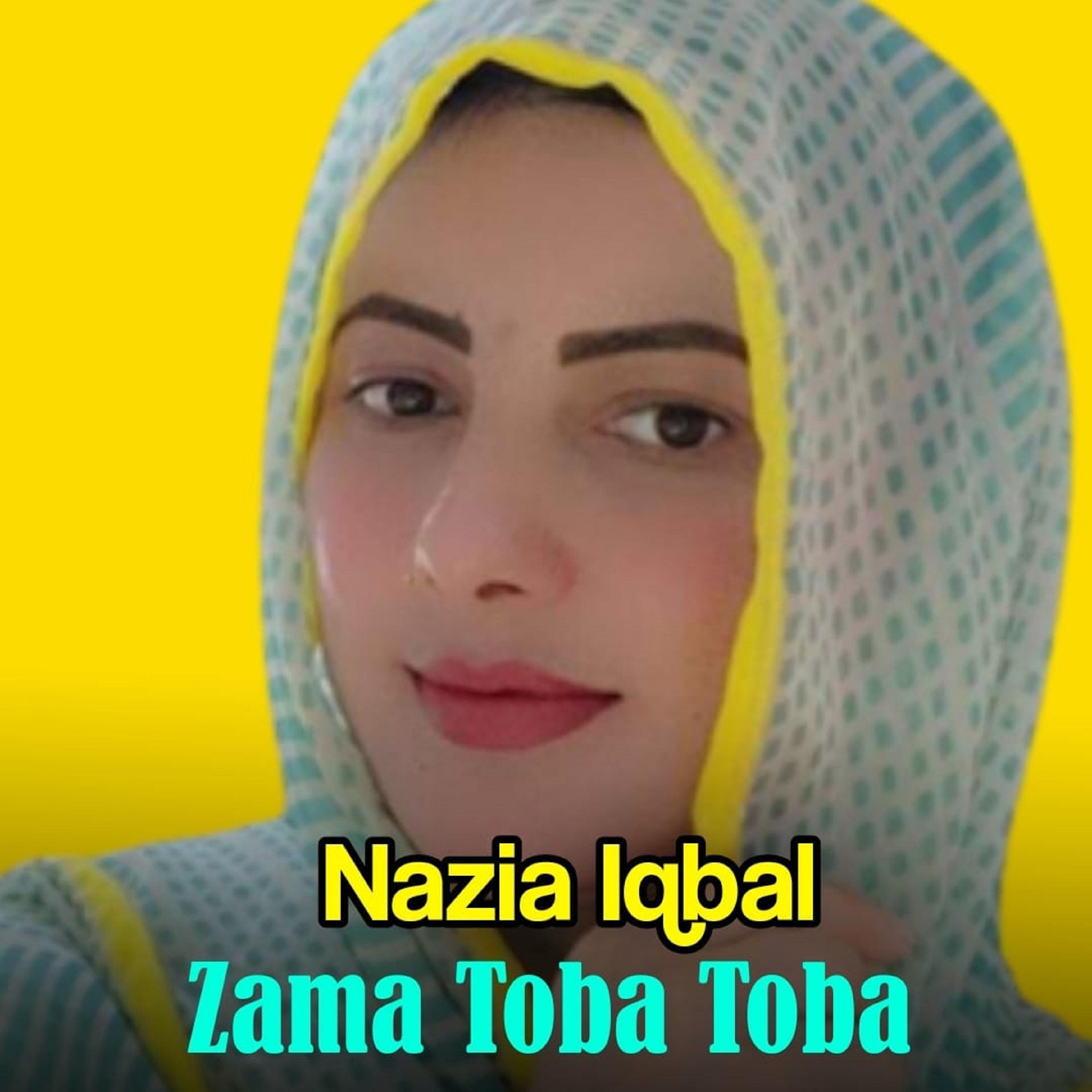 Постер альбома Zama Toba Toba