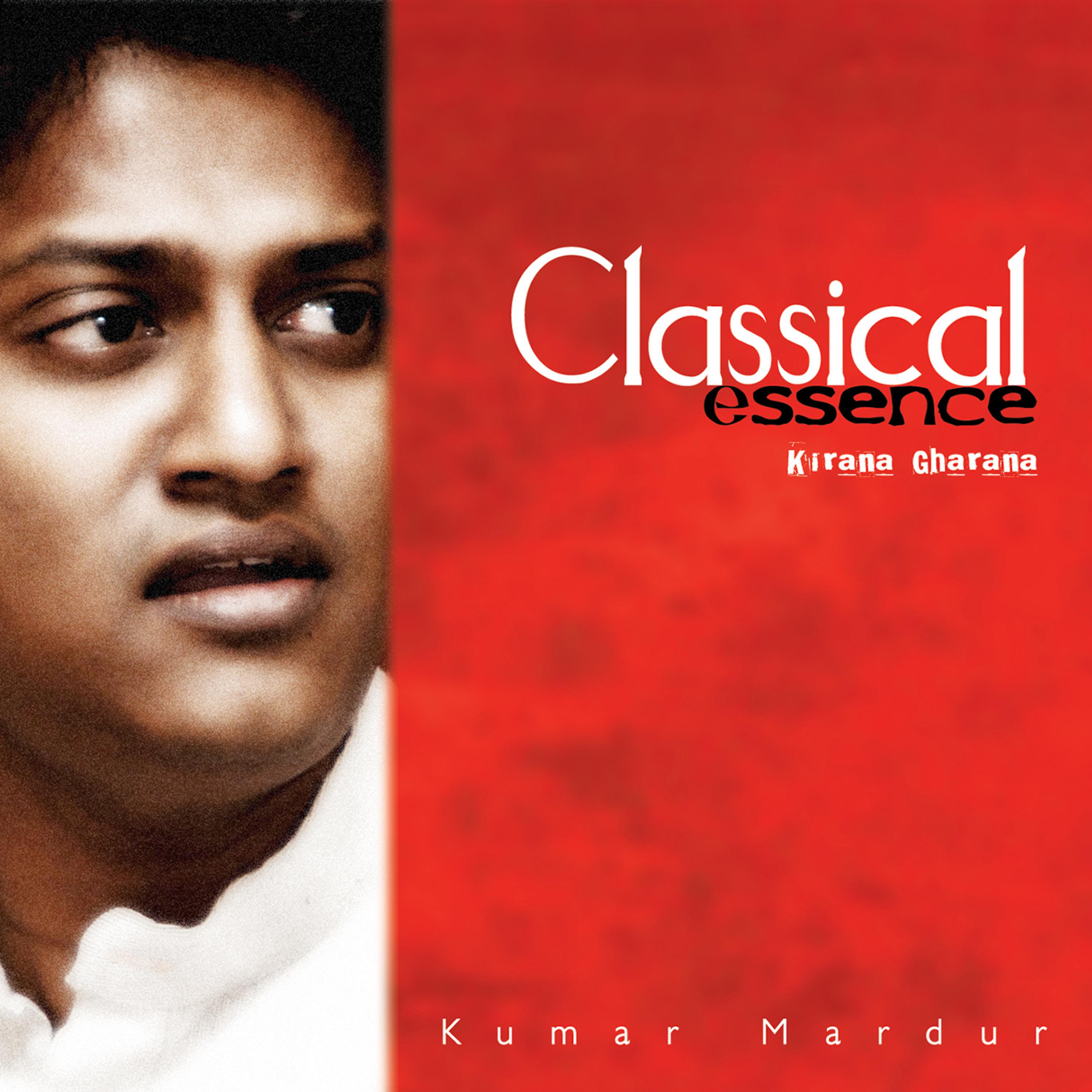 Постер альбома Classical Essence (Classical)