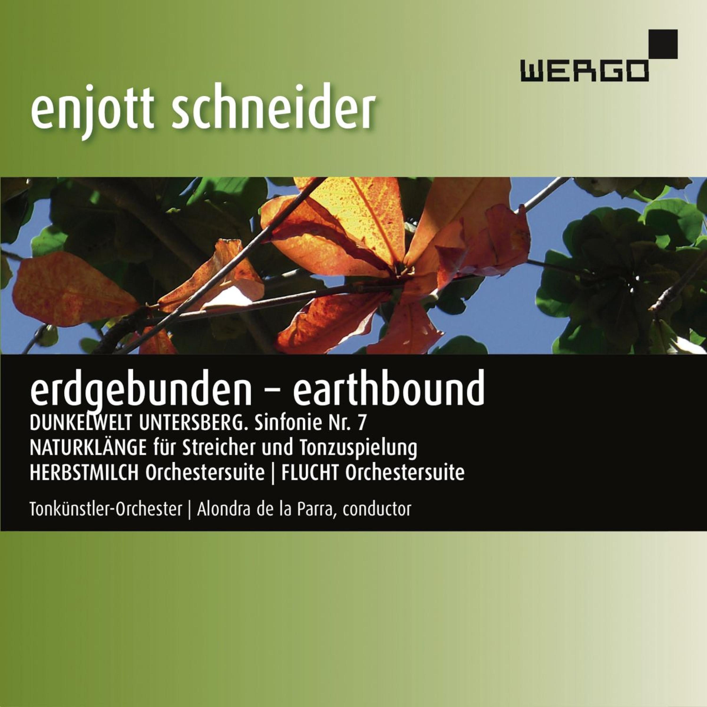 Постер альбома Schneider: Erdgebunden