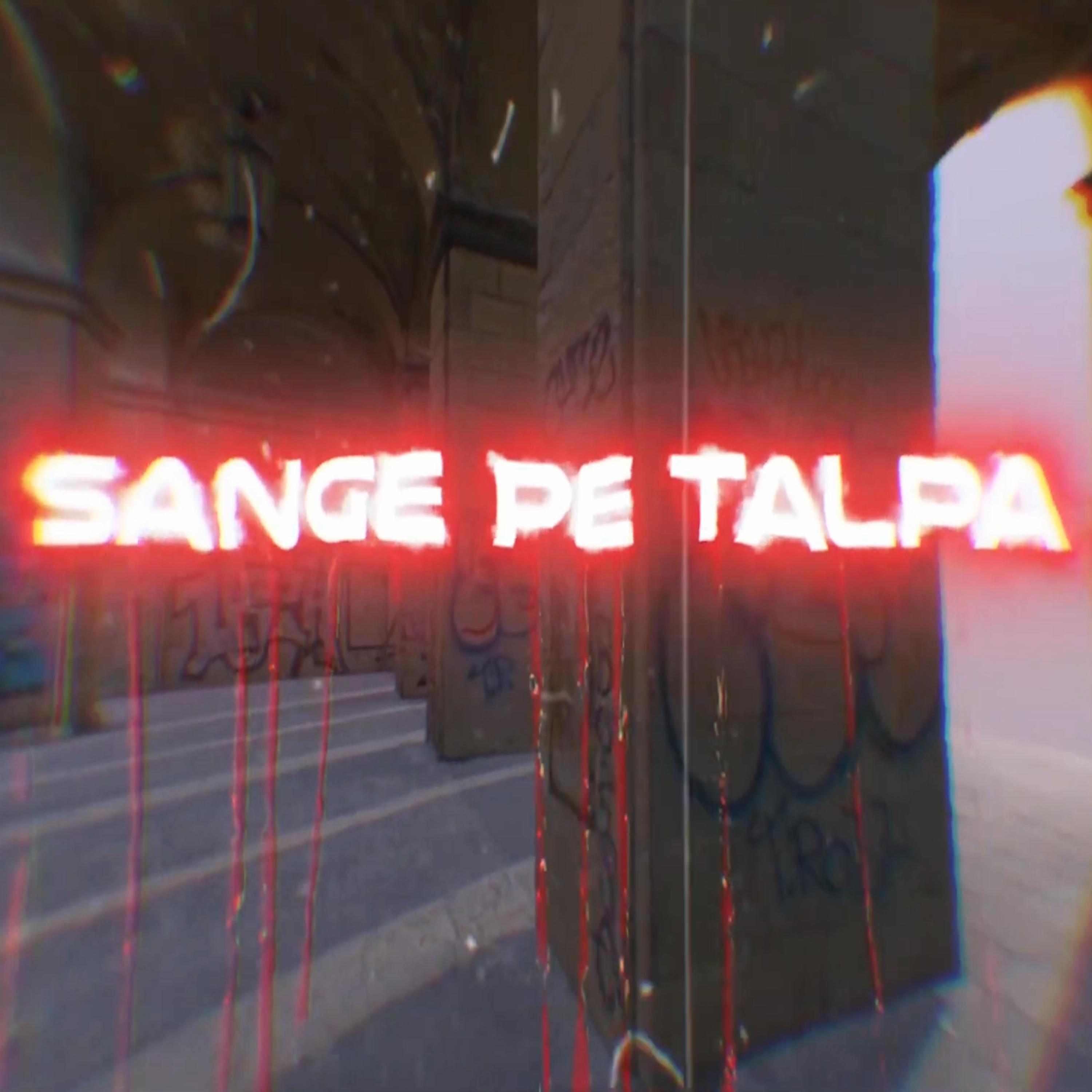Постер альбома Sange Pe Talpa