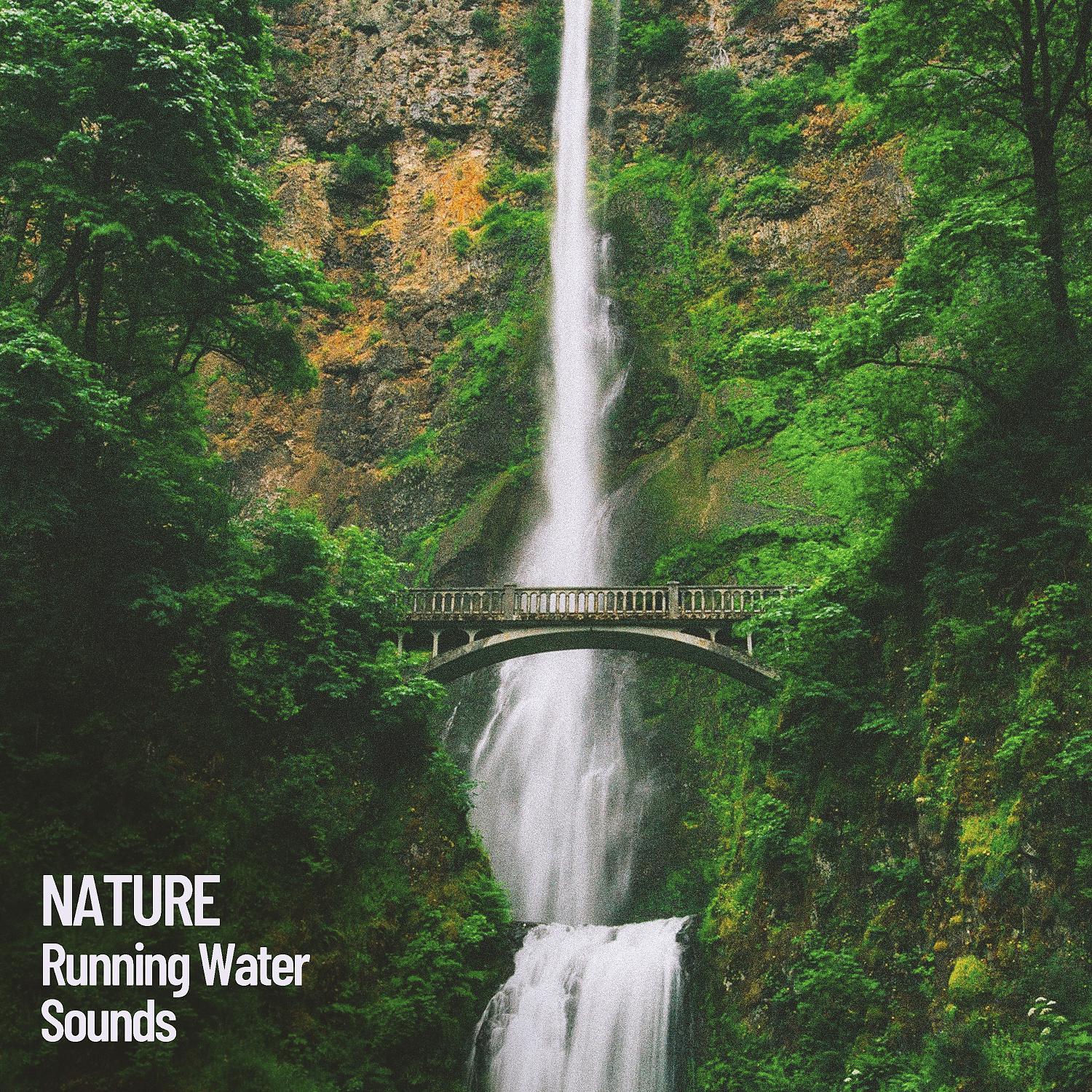 Постер альбома Nature: Running Water Sounds, Streams of peace and Joy, Nature
