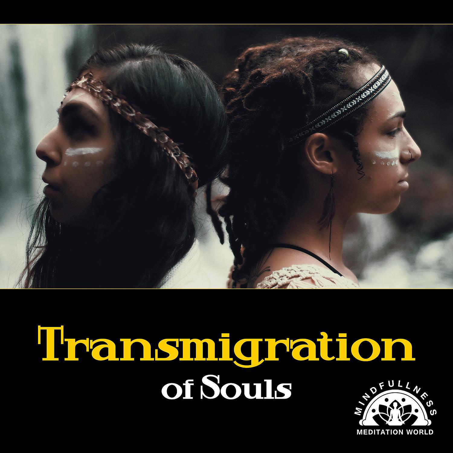Постер альбома Transmigration of Souls – Meditation of Old Shaman, Unites of Native Wisdom, Ethnic Music, State of Trance, Tribal Dreaming