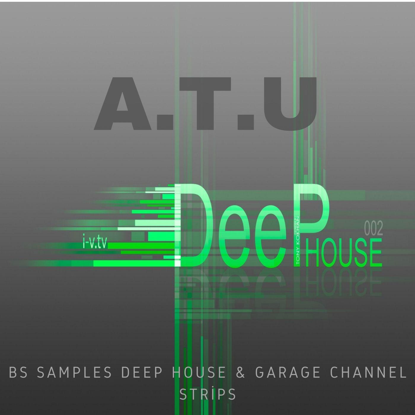 Постер альбома BS Samples Deep House & Garage Channel Strips