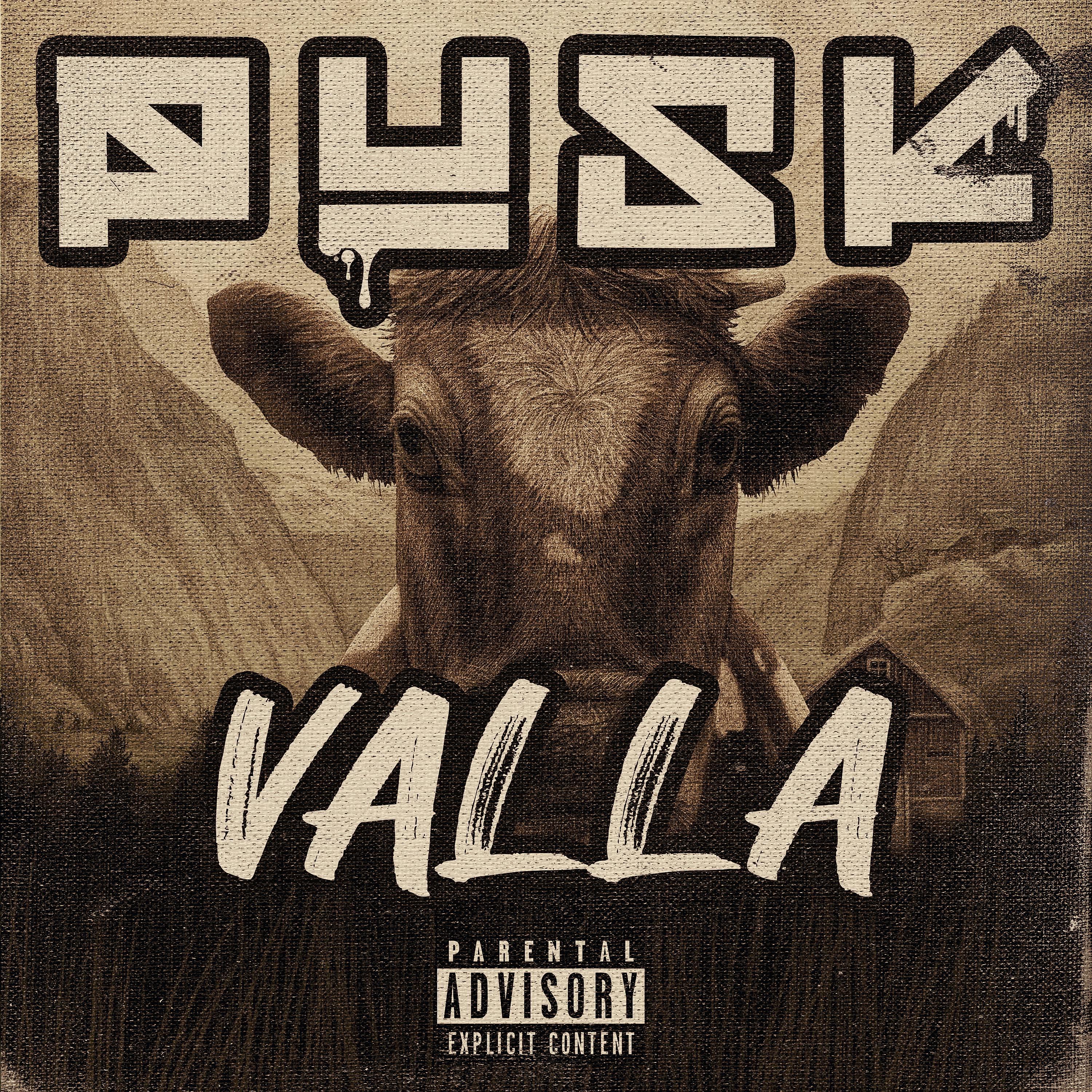 Постер альбома Valla