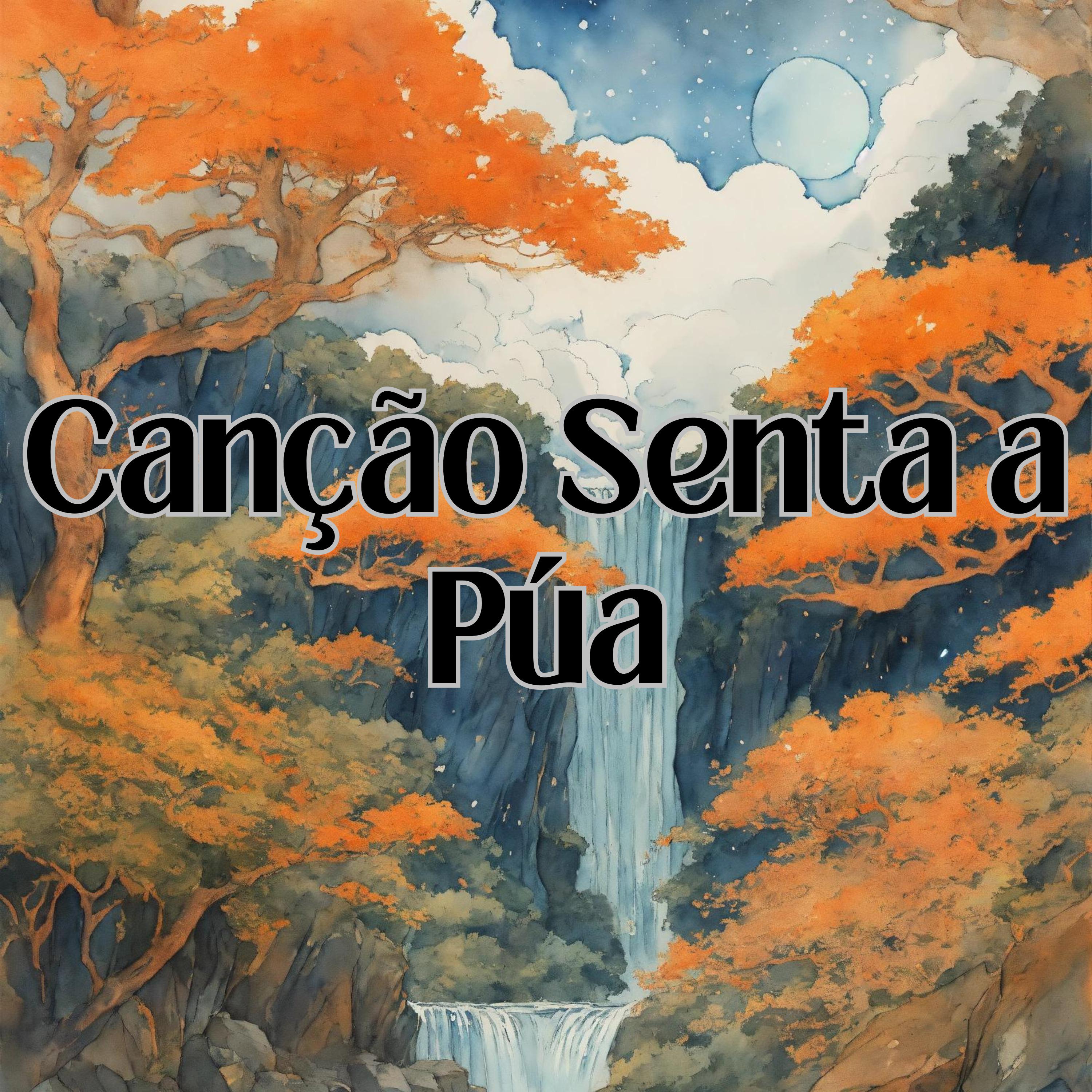 Постер альбома Canção Senta a Púa