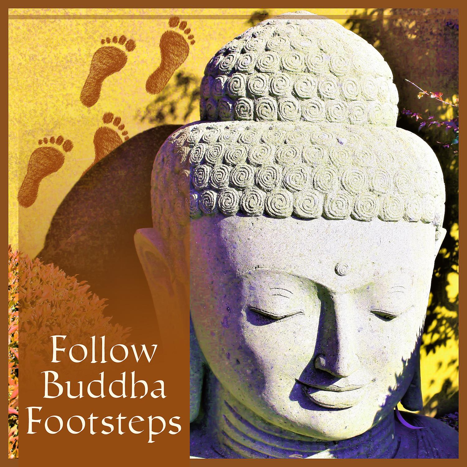 Постер альбома Follow Buddha Footsteps