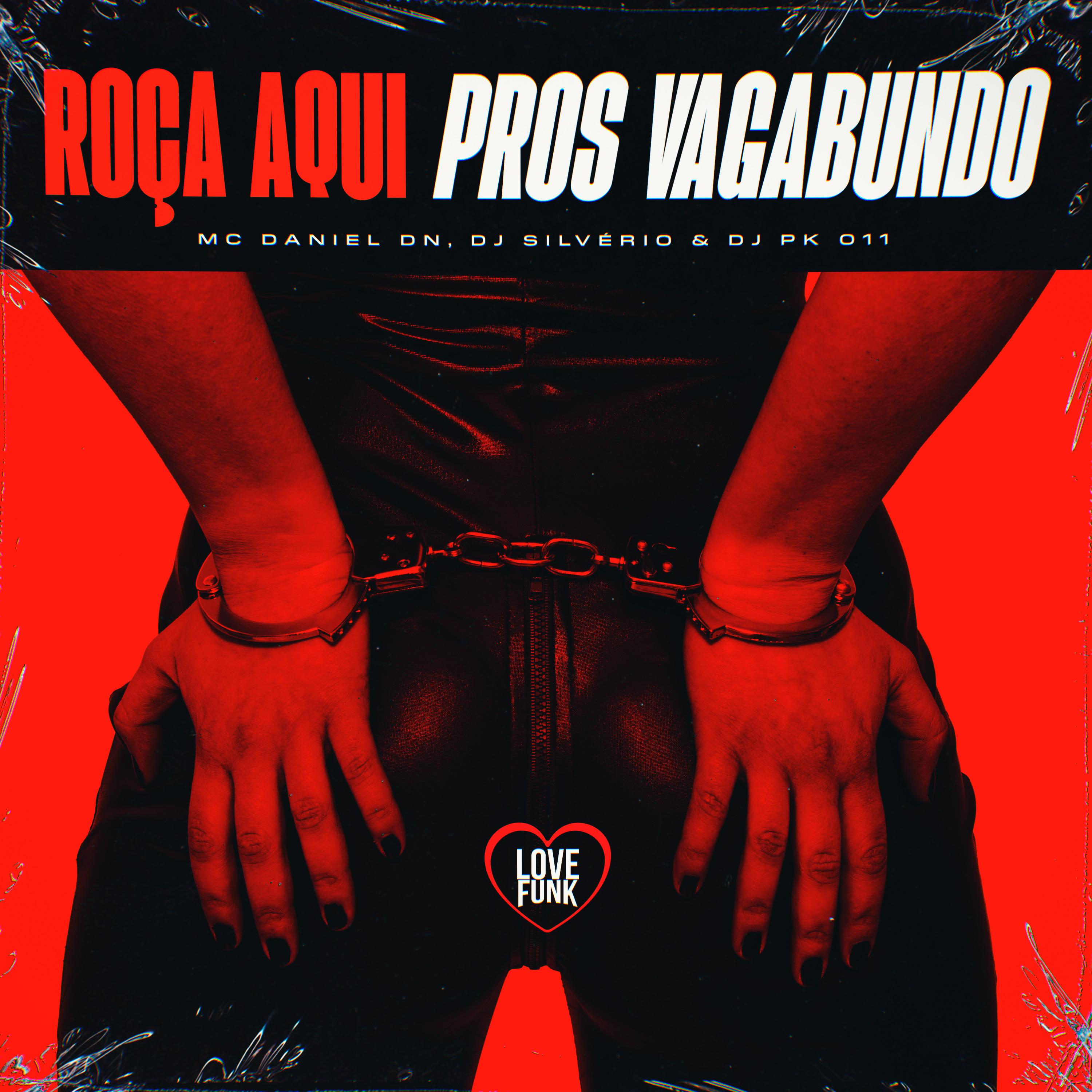 Постер альбома Roça Aqui Pros Vagabundo