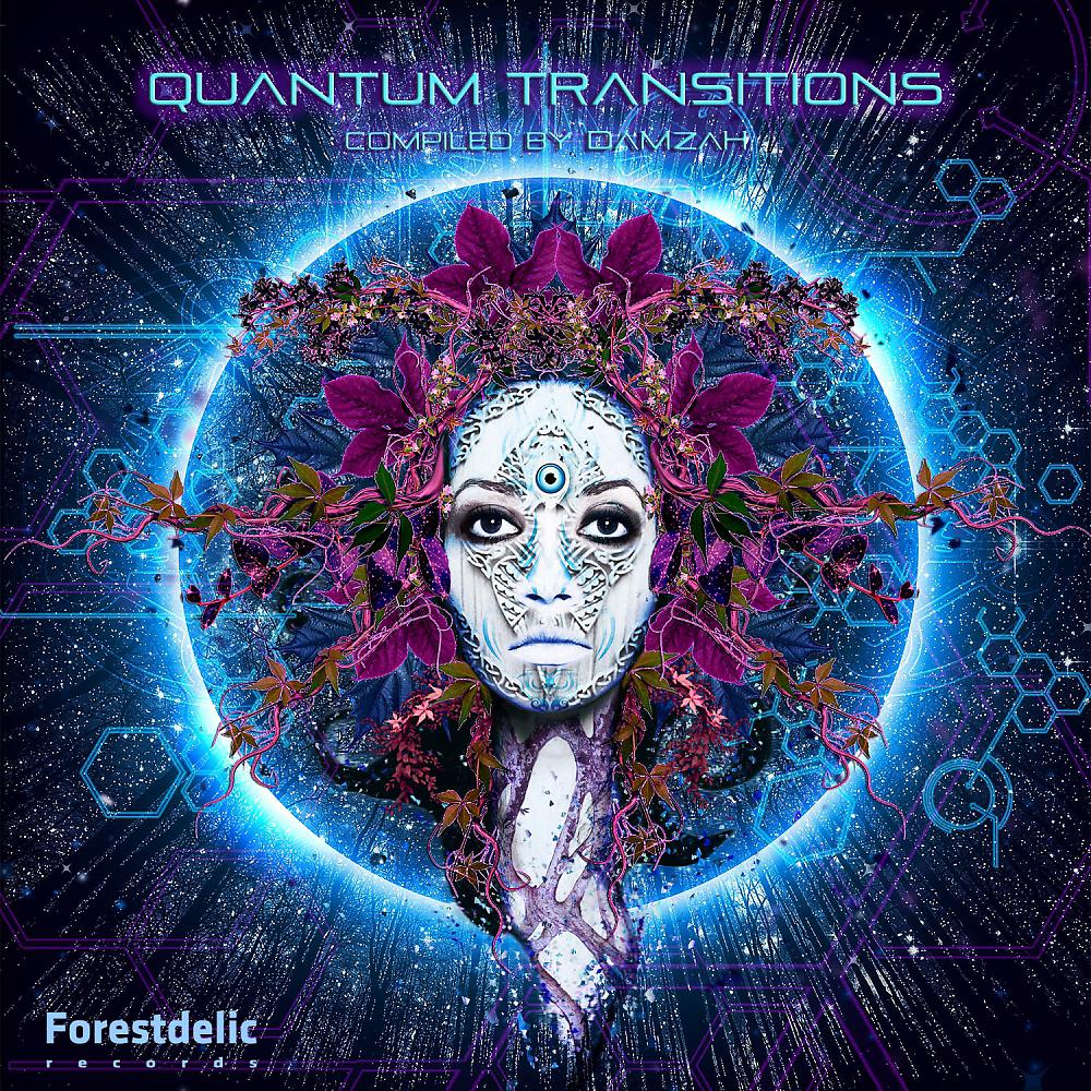 Постер альбома Quantum Transitions