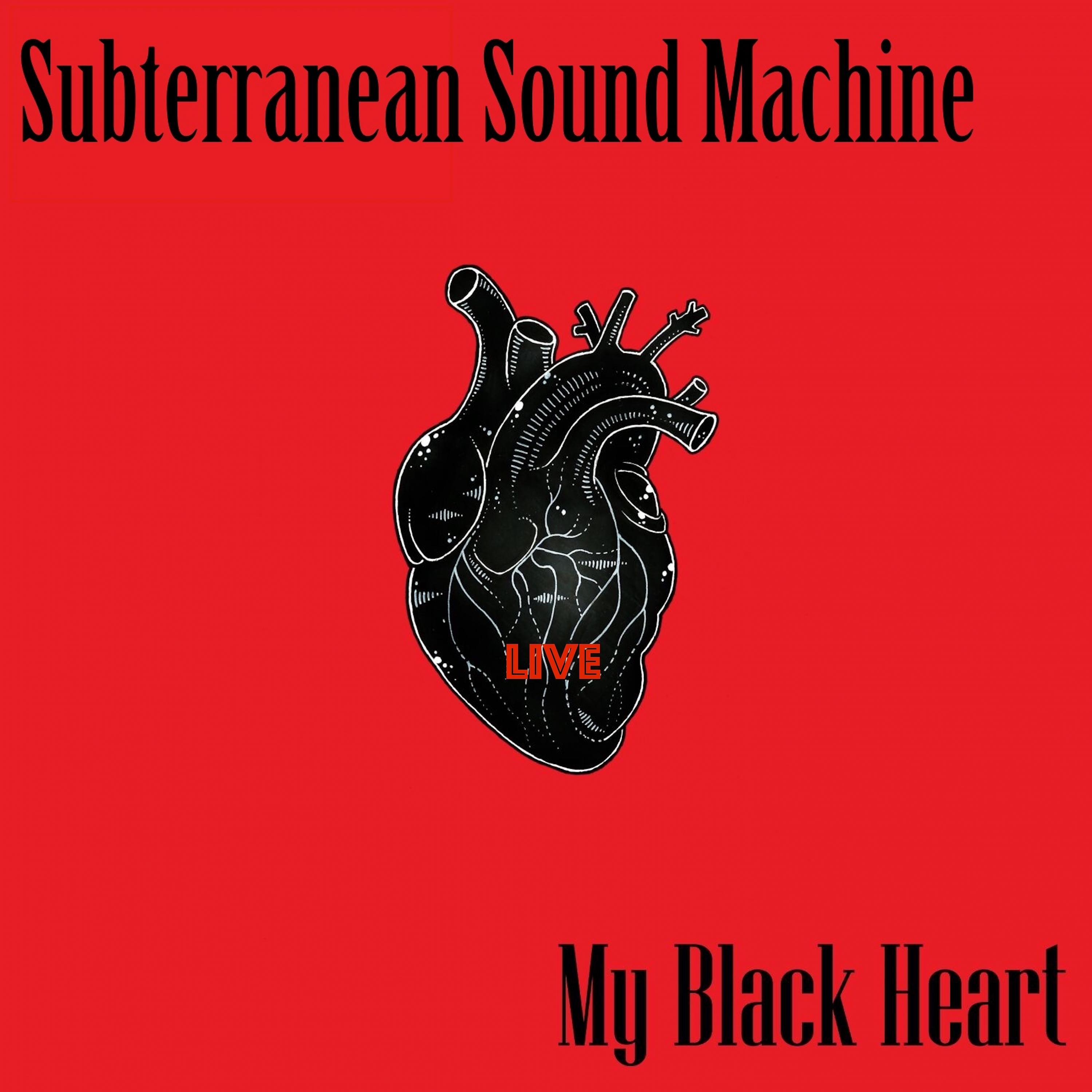 Постер альбома My Black Heart (Live)