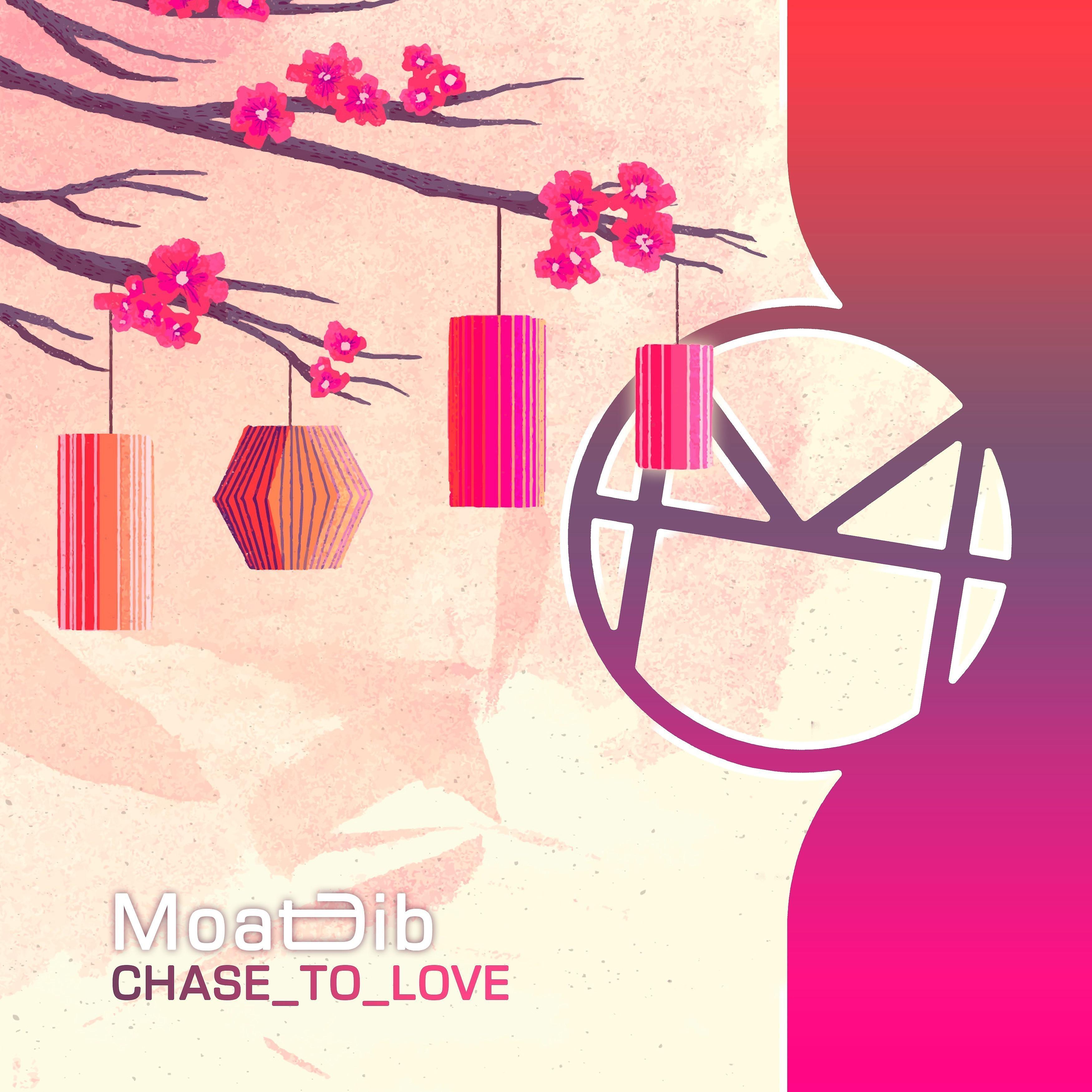 Постер альбома Chase to Love