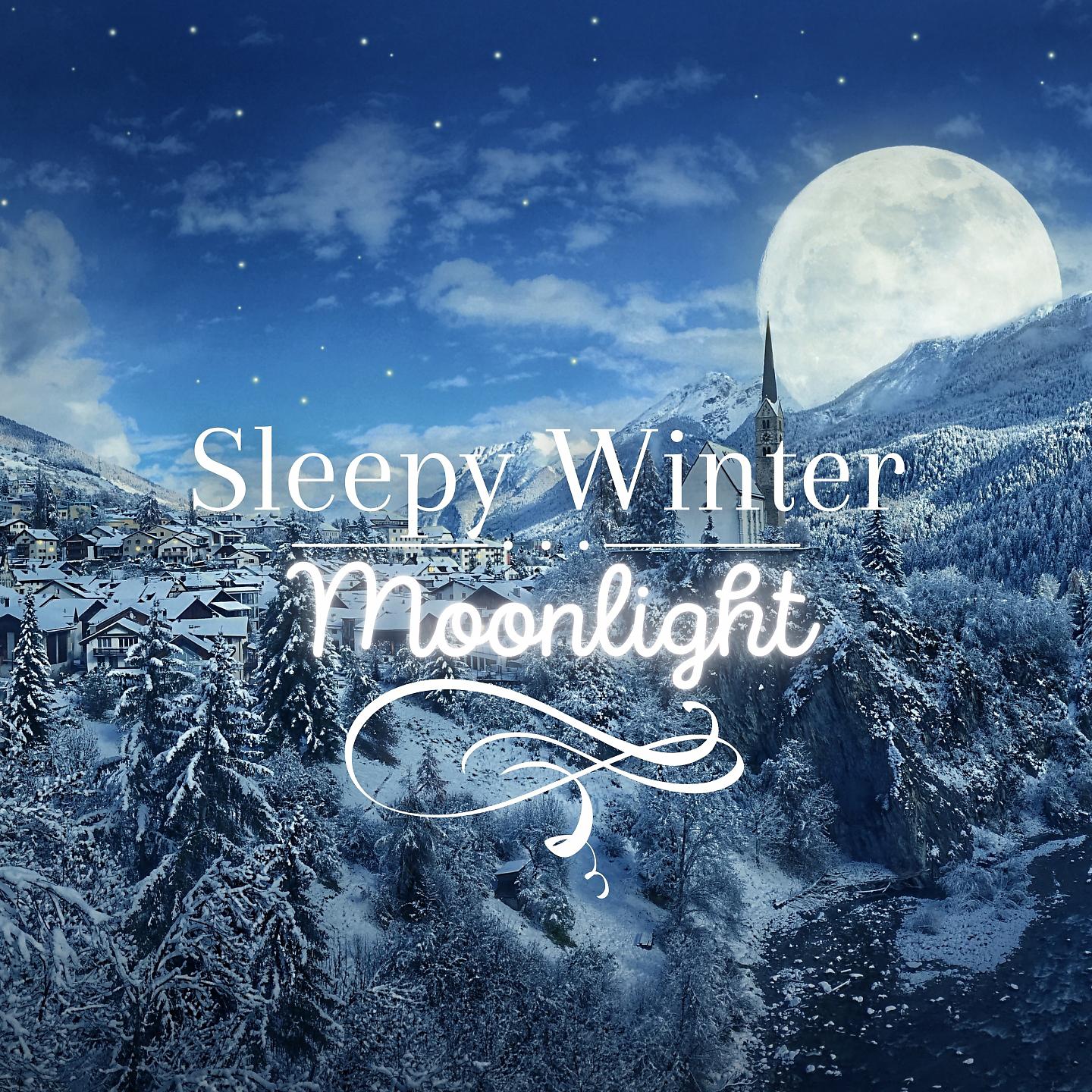 Постер альбома Sleepy Winter Moonlight