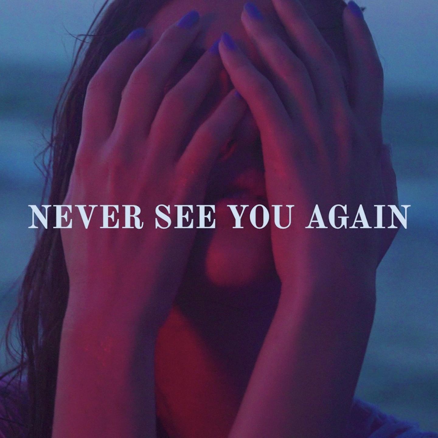 Постер альбома Never See You Again