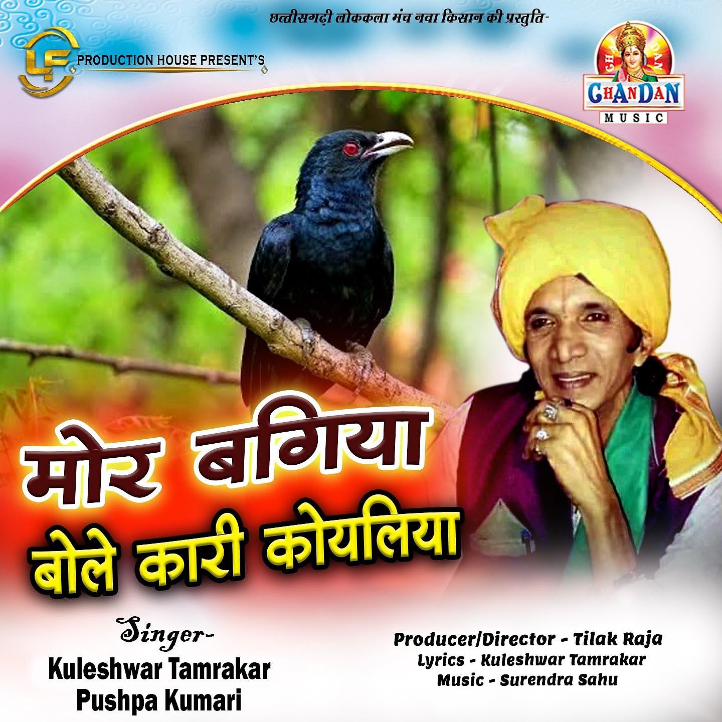 Постер альбома Mor Bagiya Bole Kari Koyaliya