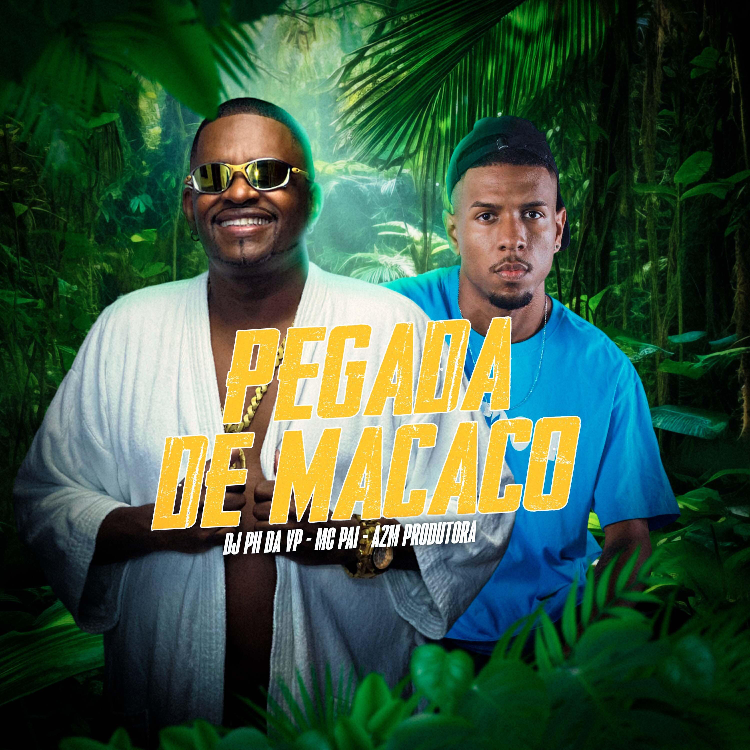 Постер альбома Pegada de Macaco