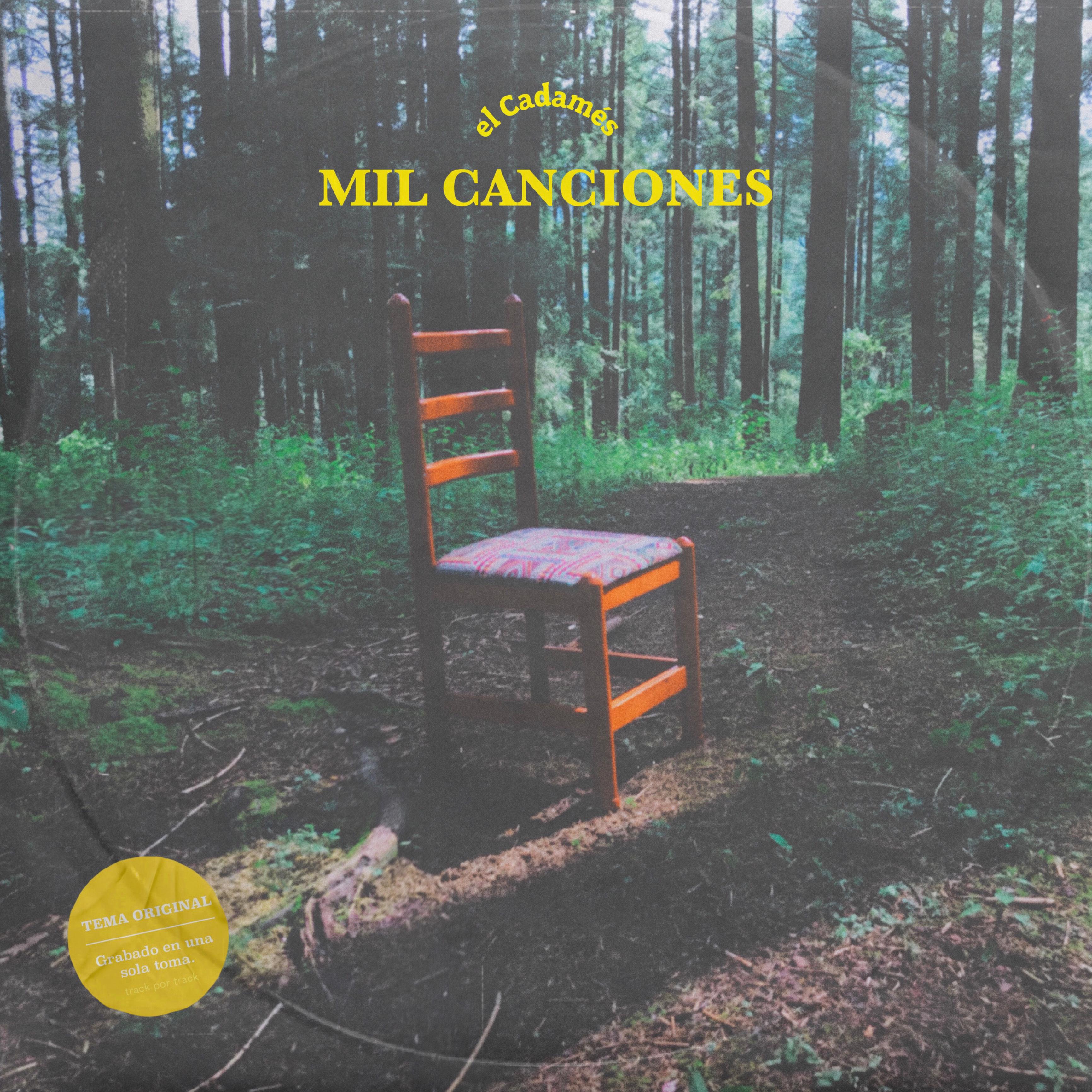 Постер альбома Mil Canciones