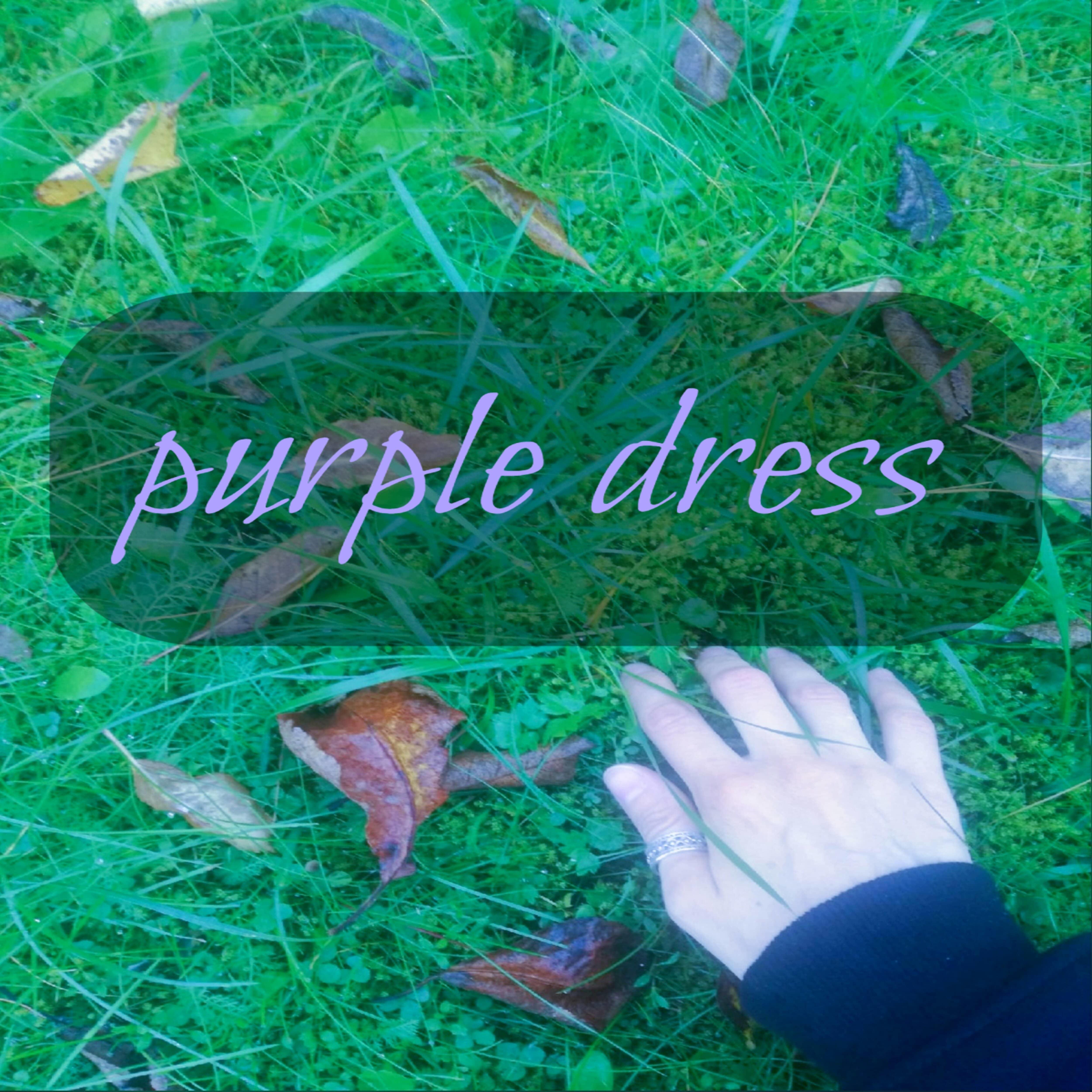Постер альбома Purple Dress
