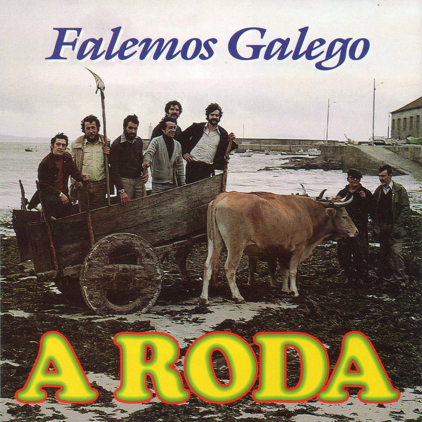 Постер альбома Falemos galego