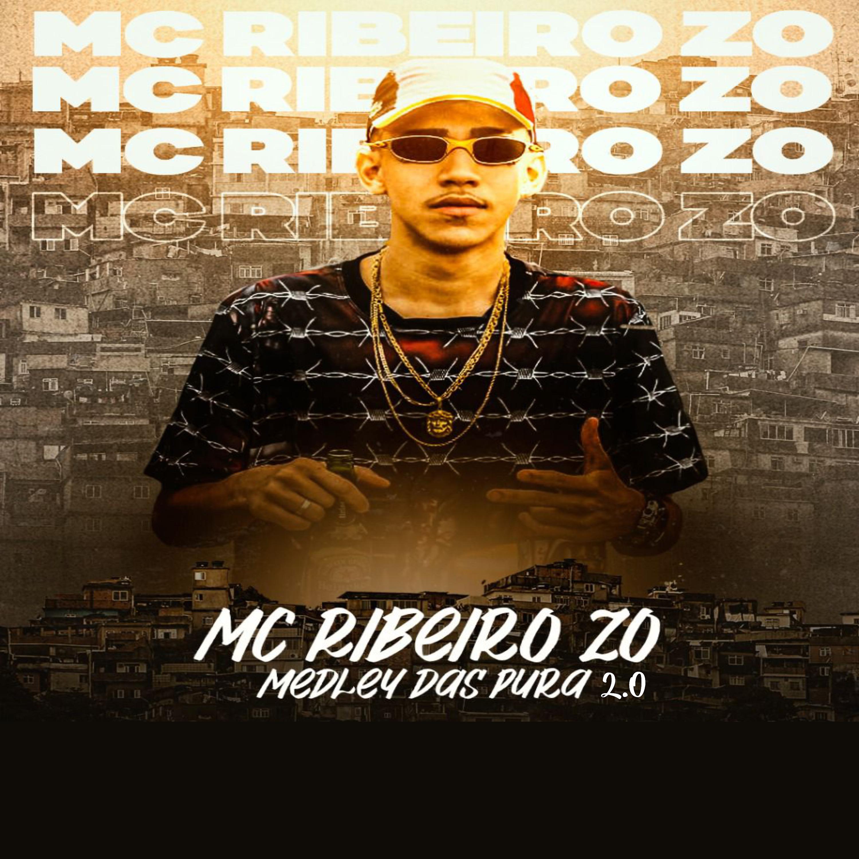 Постер альбома Medley das Pura 2.0