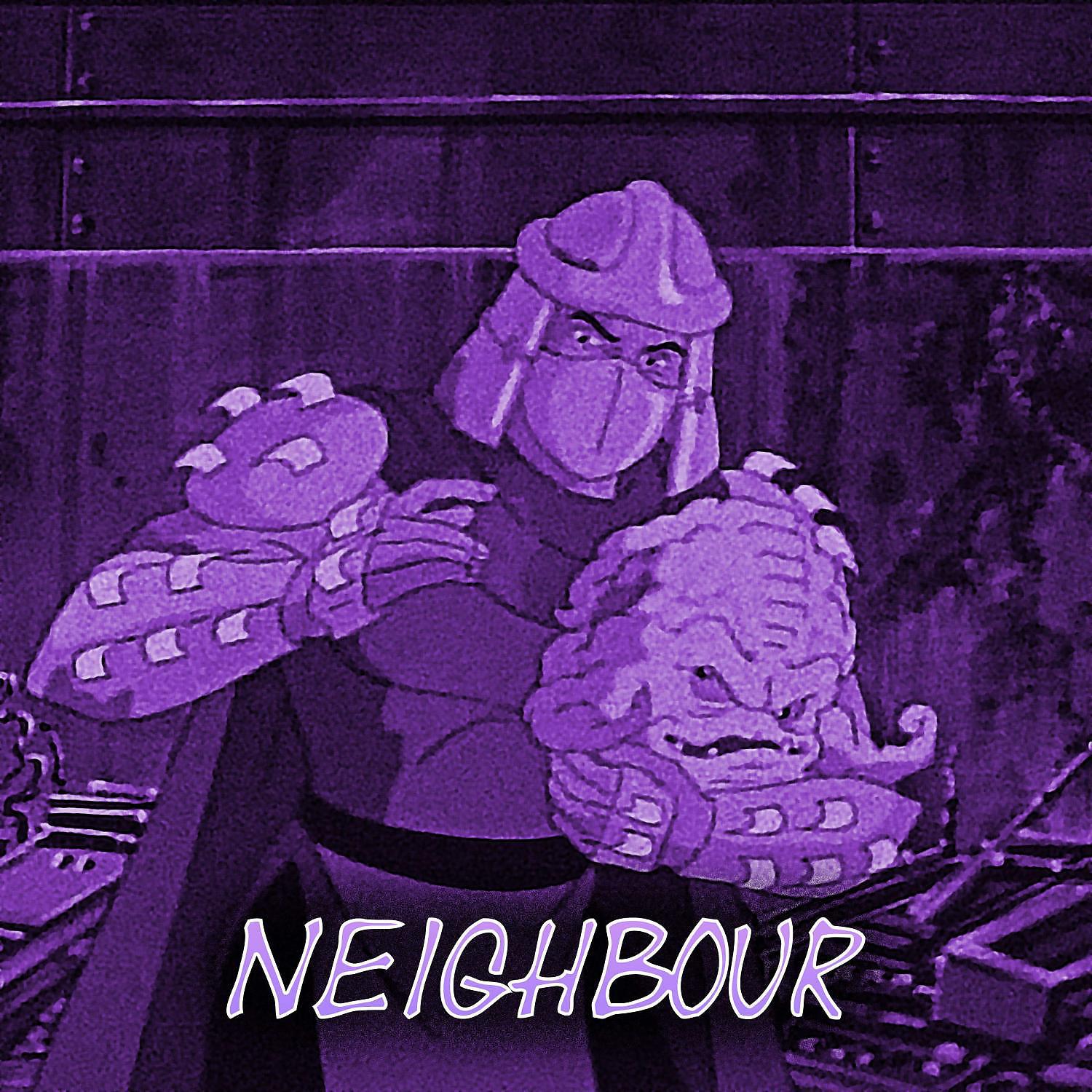 Постер альбома Neighbour