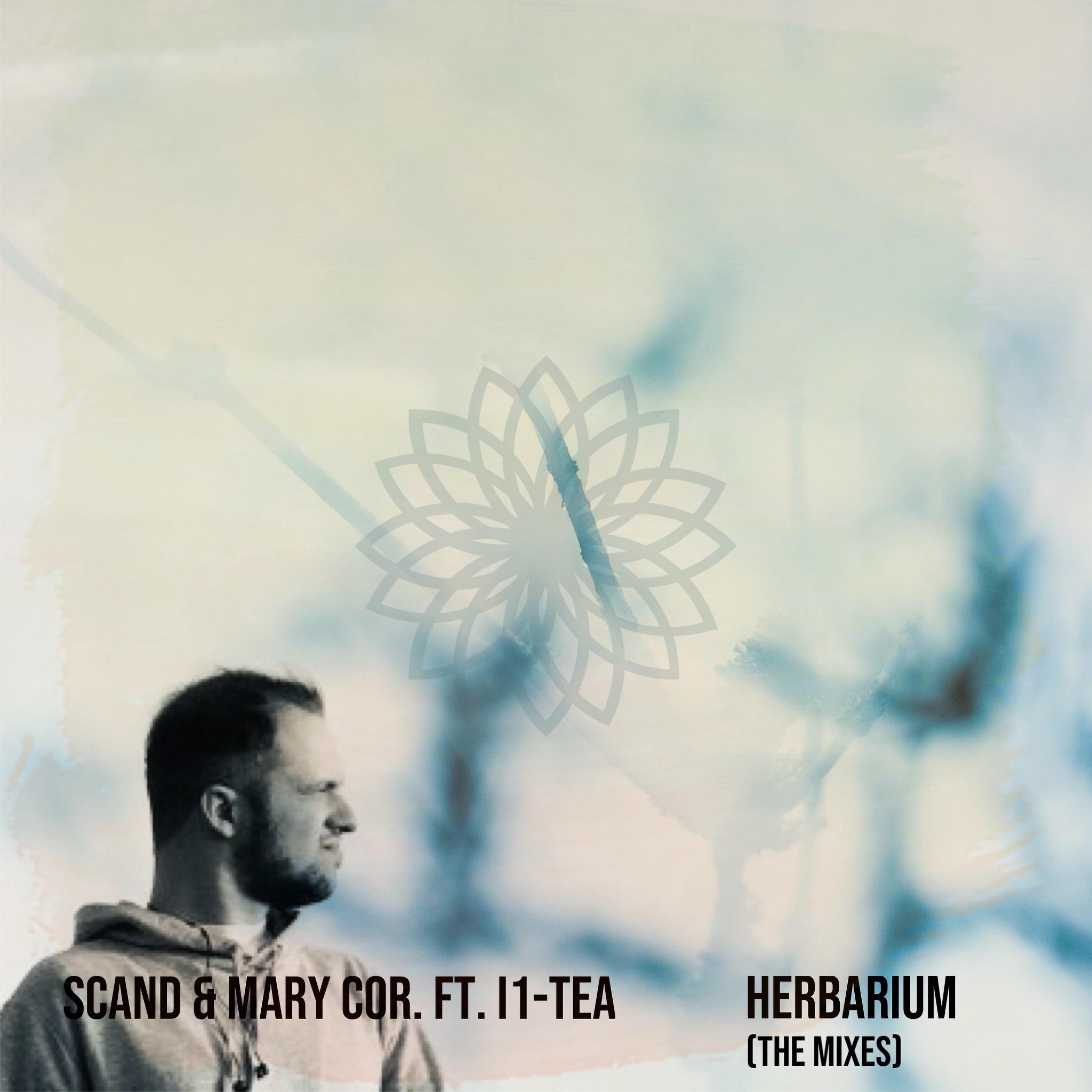 Постер альбома Herbarium
